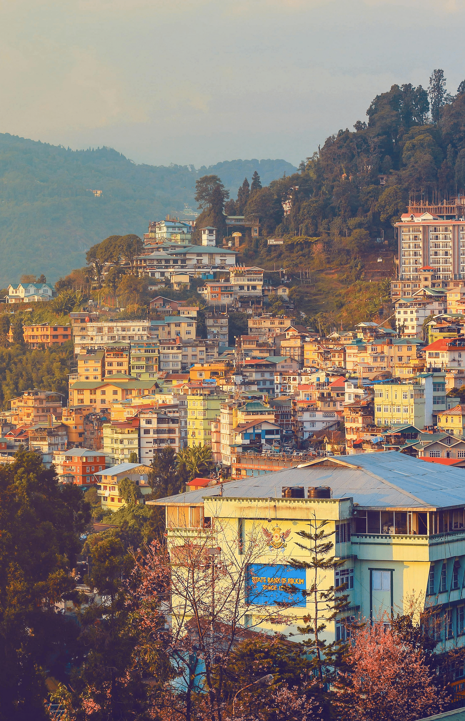 Aerial view of a town built on a hill side