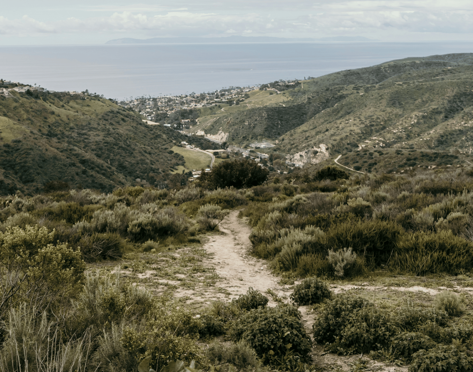 briggs-boyd-gPX6ZmSqFzk-unsplash
