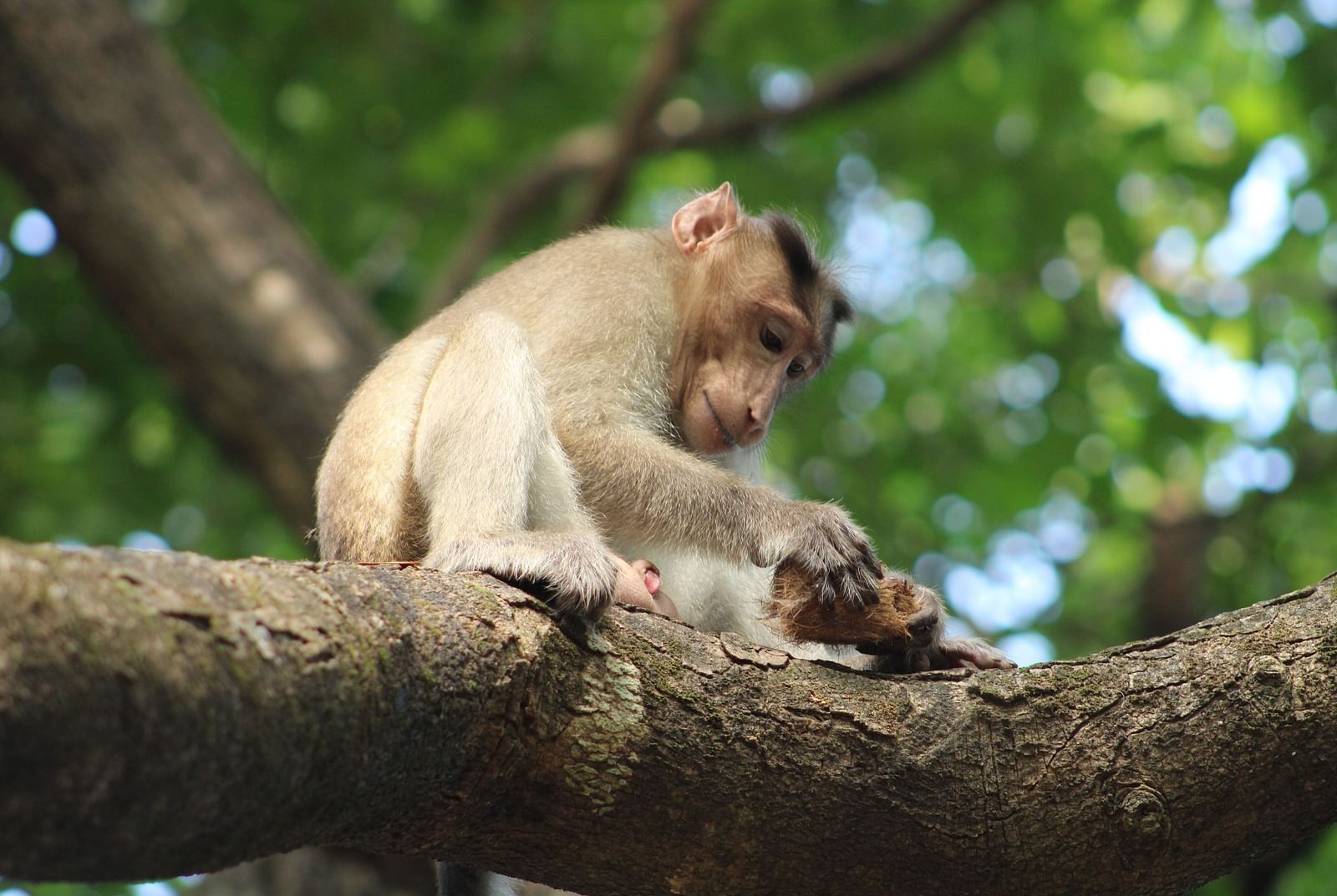 Sanjay Gandhi National Park