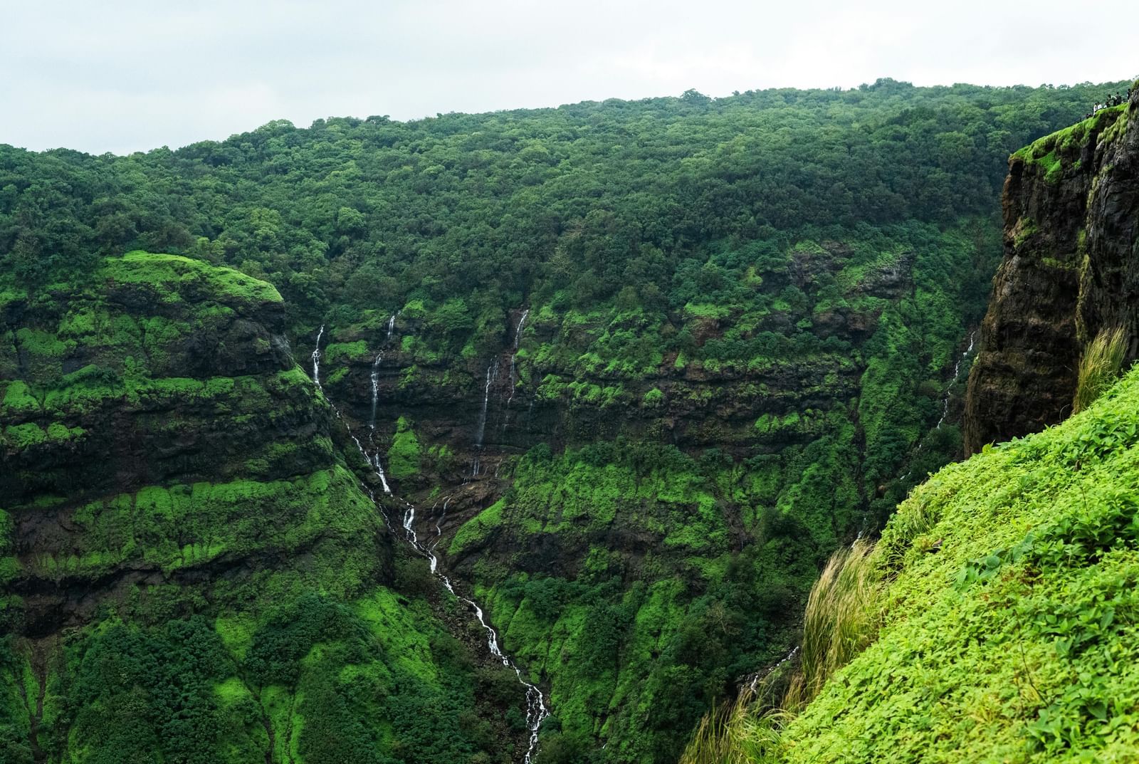 A lush, green landscape at Echo Point in Matheran, featuring hills and valleys covered in dense vegetation.