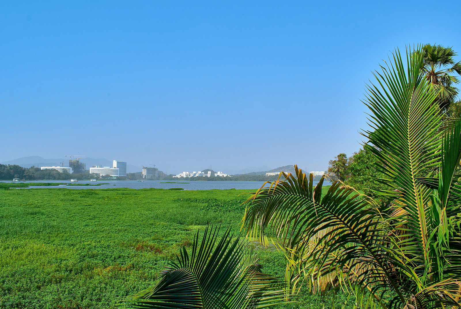 powai lake