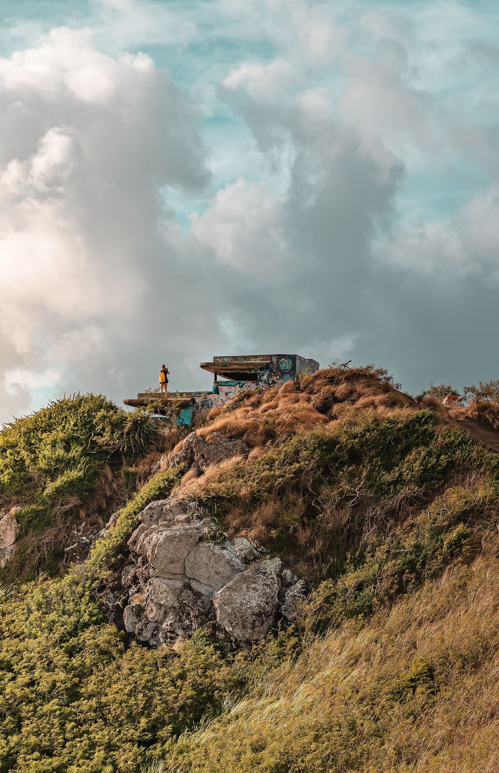 person on top of hill under a cloudy sky