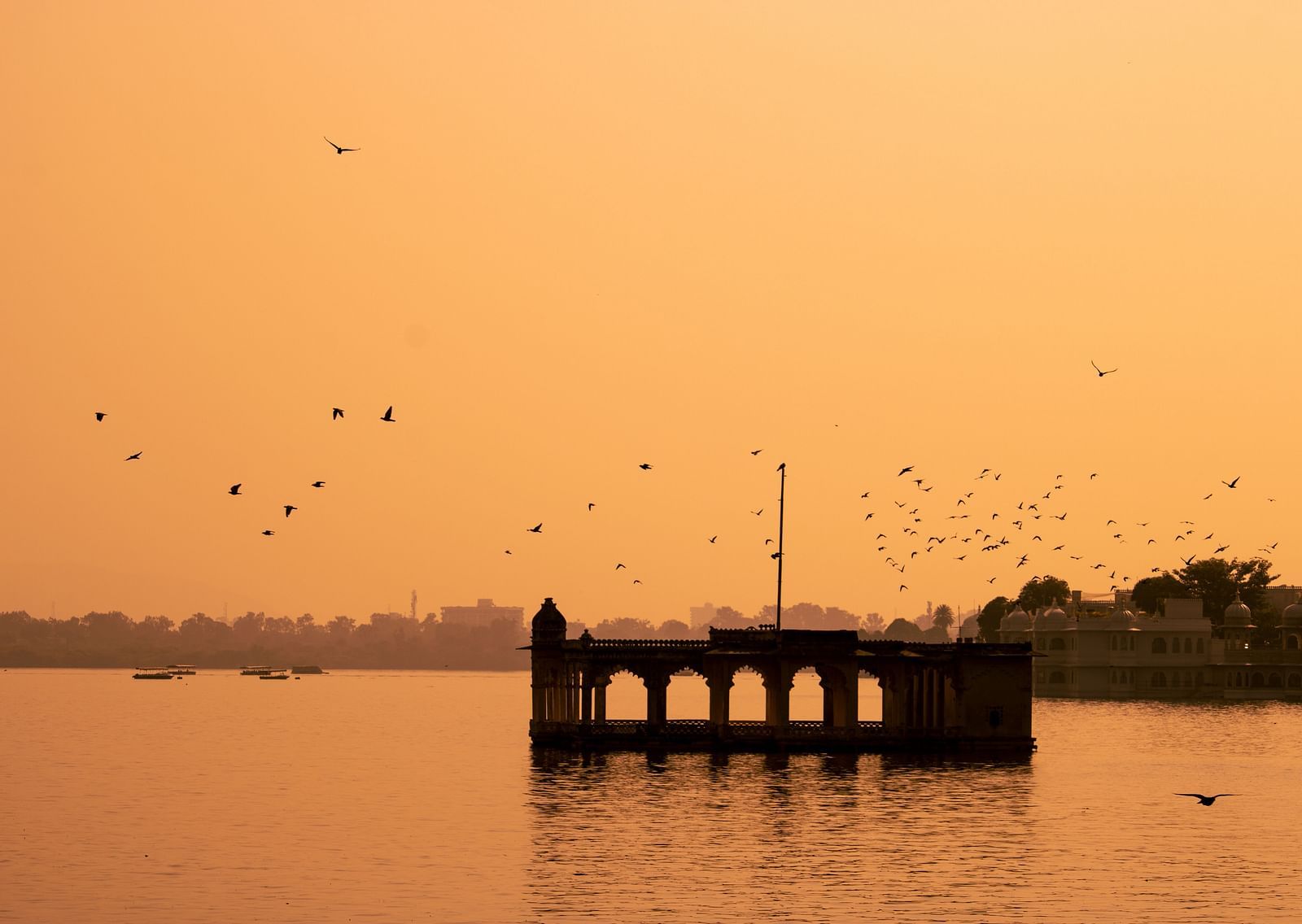 An overview of a lake in Udaipur with a building in the centre and birds flying around.