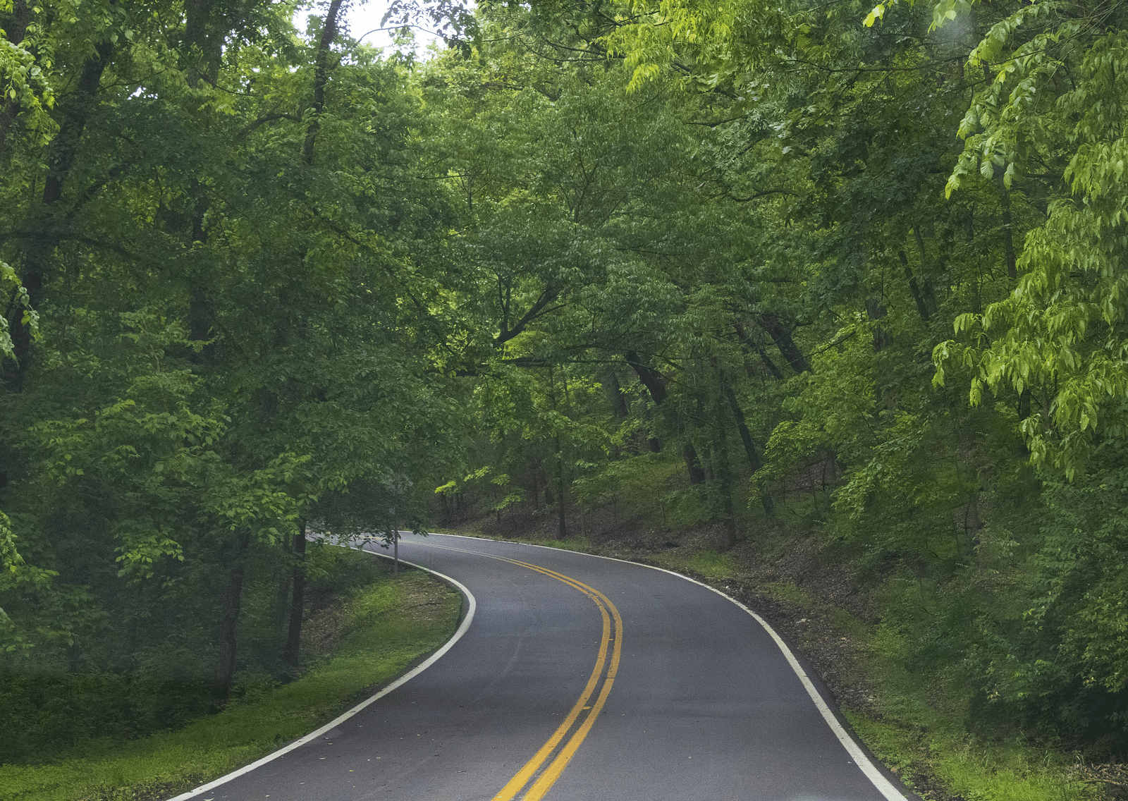 An overview of a road with winding road inside a forest with green trees on either side.