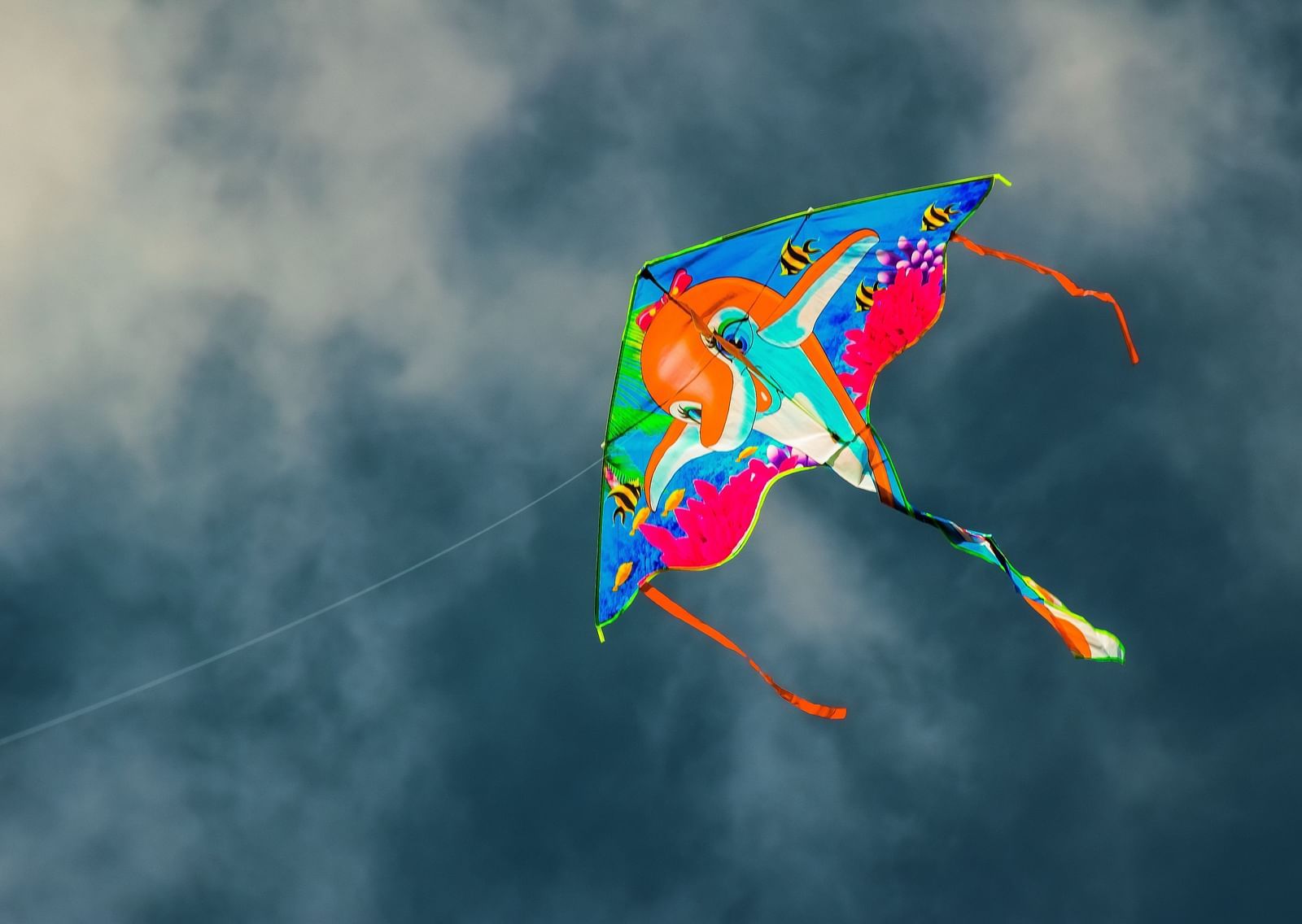 A view from below of a kite with blue sky in the background.
