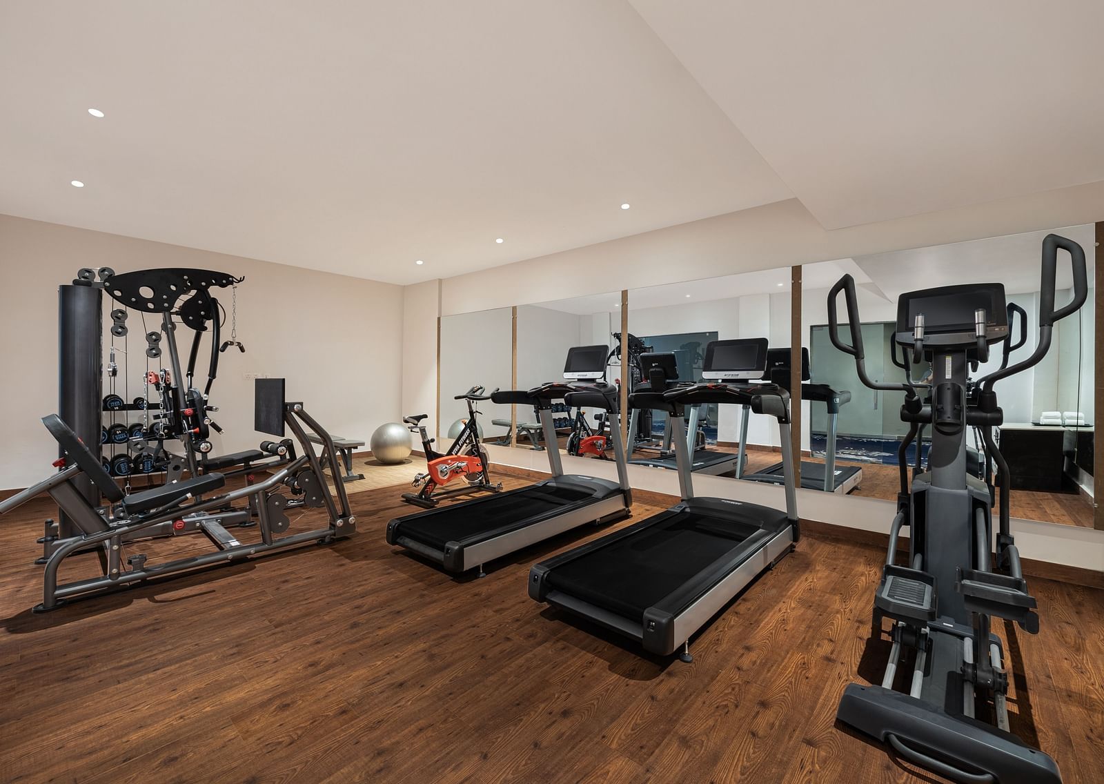 An overview of the gymnasium - Essentia Luxury Resort & Spa, Udaipur.