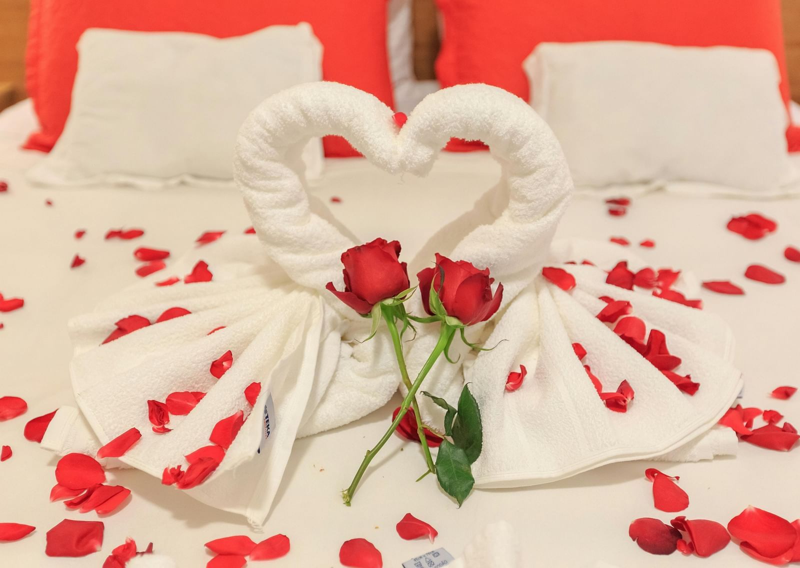 Two towel swans forming a heart shape on a bed, surrounded by red rose petals and two fresh red roses, creating a romantic setting.