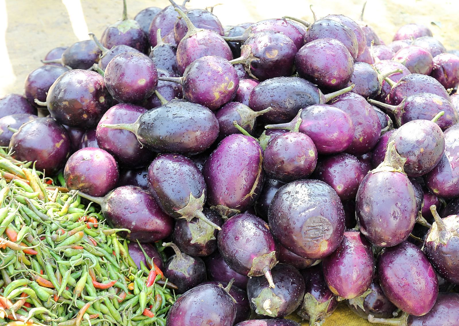 An overview of many eggplants kept on top of each other next to chillies.