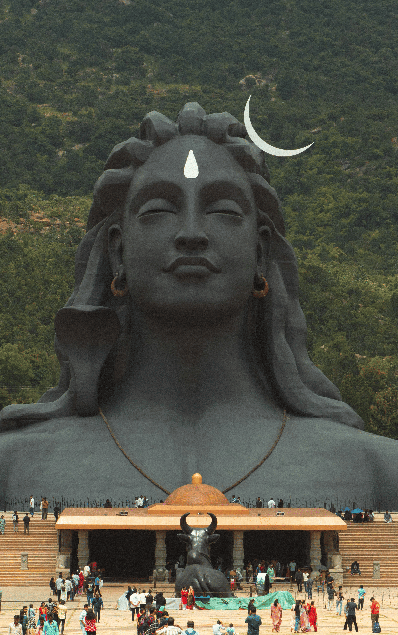 pexels-suhashanjar-33839943
