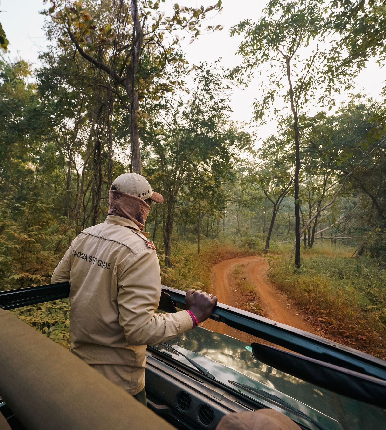A view from the jeep of a guide standing up on the jeep Safari - Trees N Tigers, Tadoba.