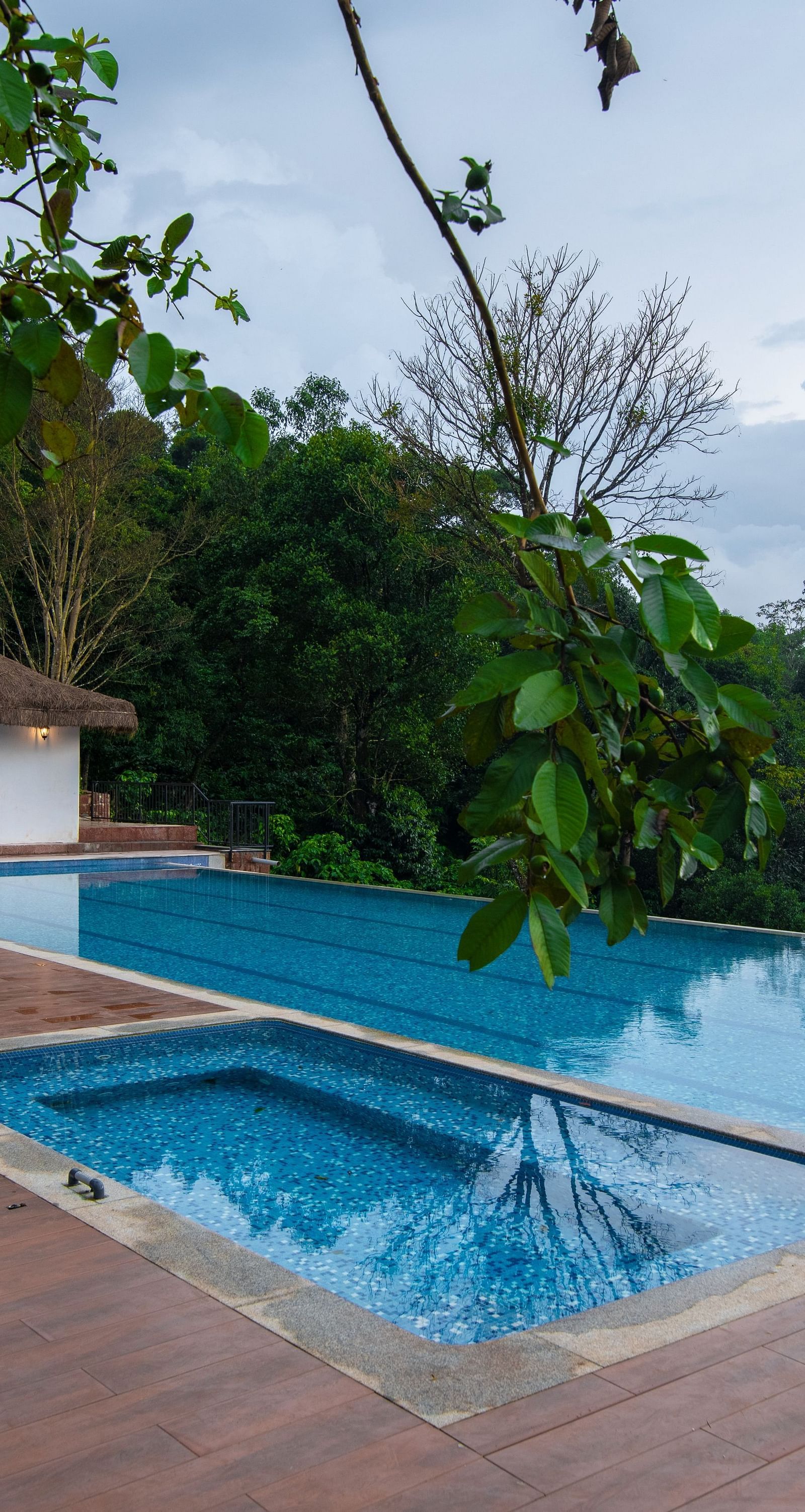 infinity pool view - Tapovana, Sakleshpura