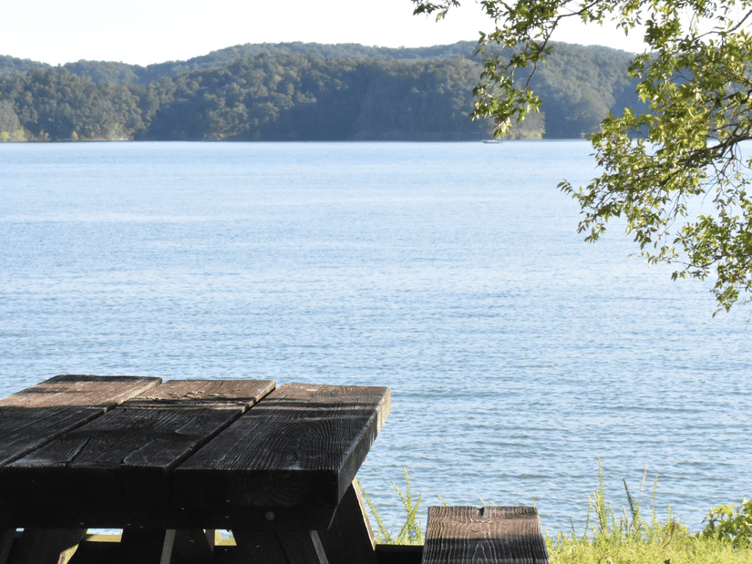 A wooden picnic table under the shade of a tree seen next to a lake.