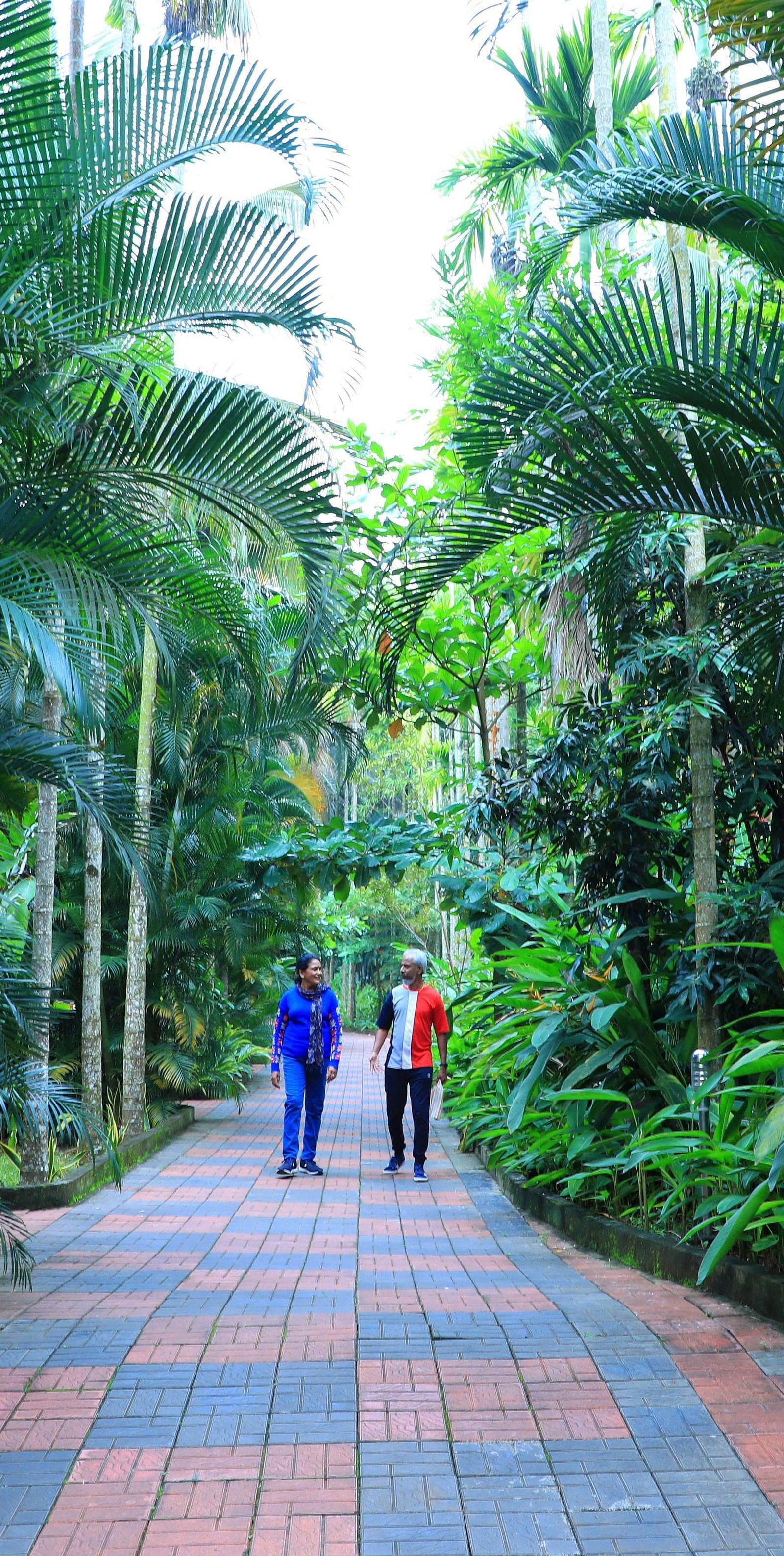 Two people walking  on a footpath with trees on the side at Parampara Resort & Spa, Kushalnagar.