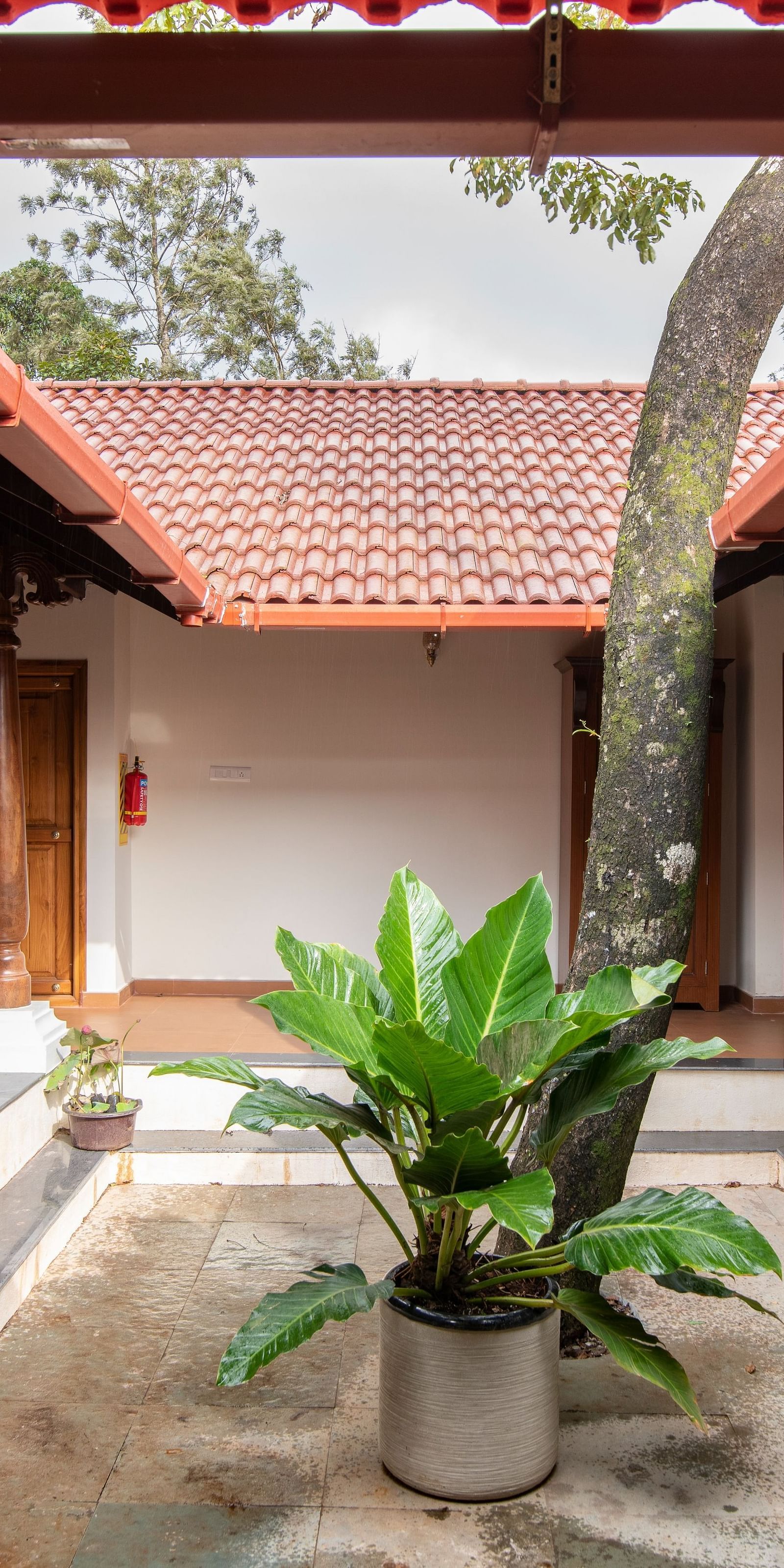 villa opening  - Tapovana, Sakleshpura