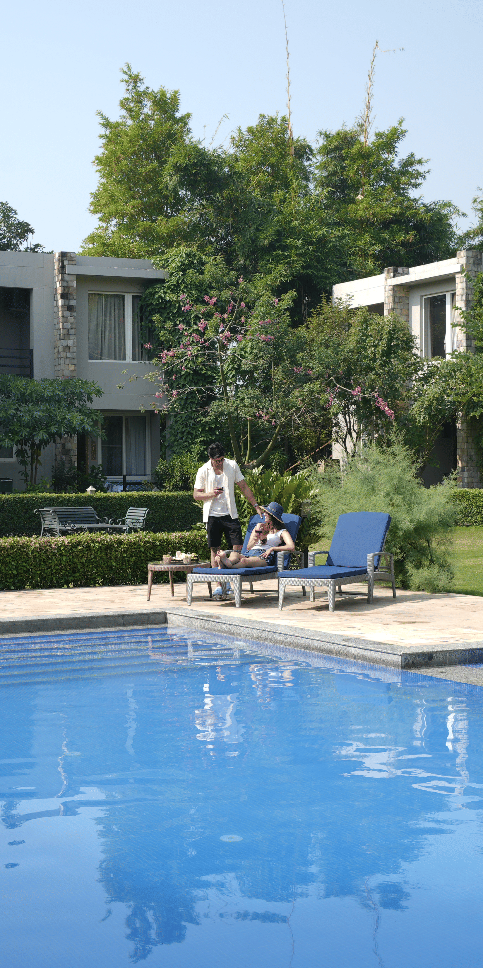 A  clear blue swimming pool surrounded by a green lawn and trees at The Golden Tusk, Jim Corbett