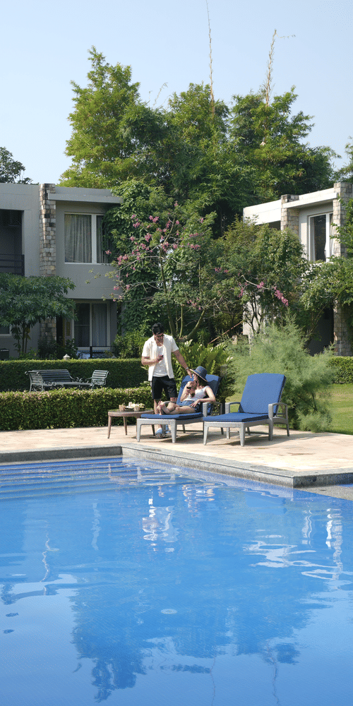 A  clear blue swimming pool surrounded by a green lawn and trees at The Golden Tusk, Jim Corbett