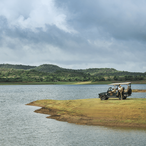 a safari jeep parked at a lake in Gir