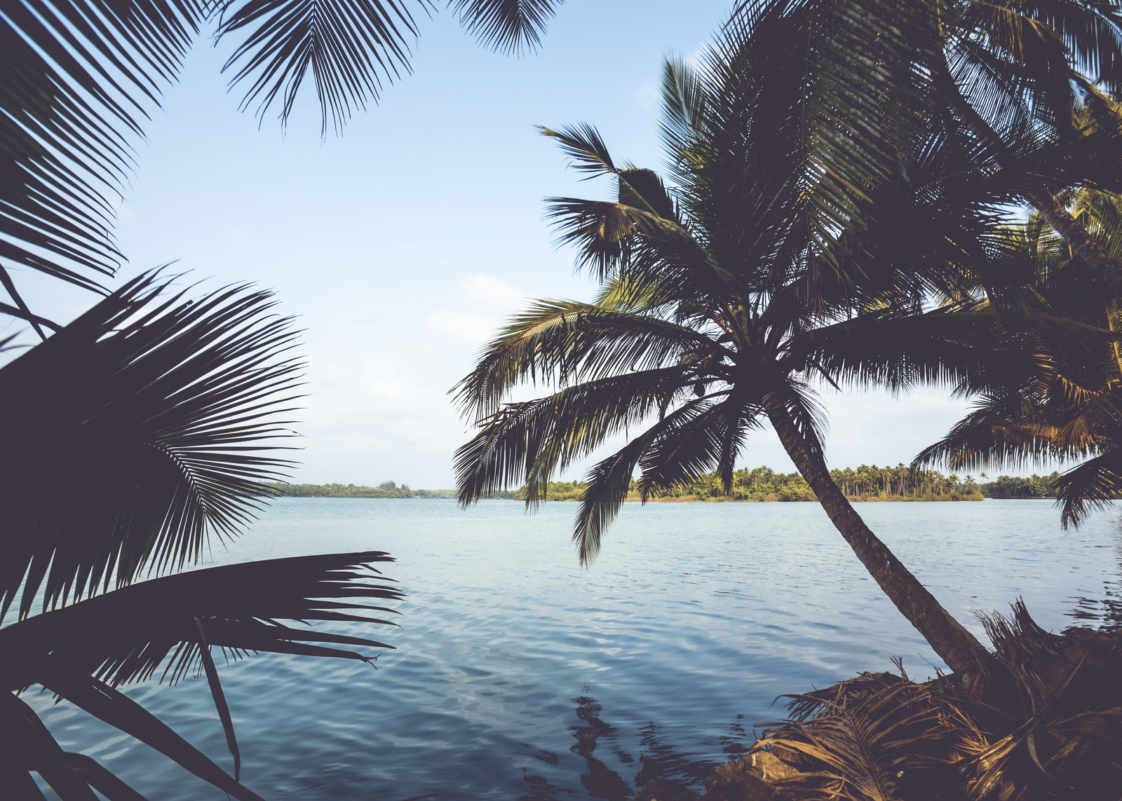 View of the water through palm trees, with the sun reflecting on the surface at Paradise Lagoon Resort, Udupi.