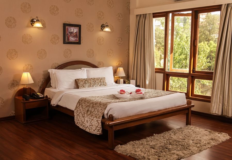 Hotel room with forest view