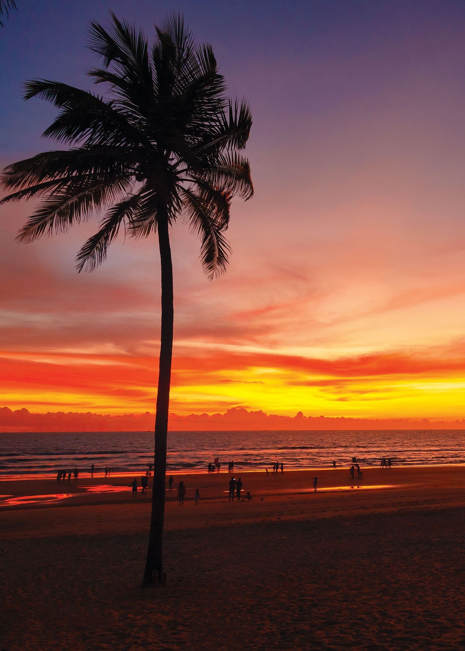 different hues in the sky after a sunset with a coconut tree in view - Caravela Beach Resort Goa