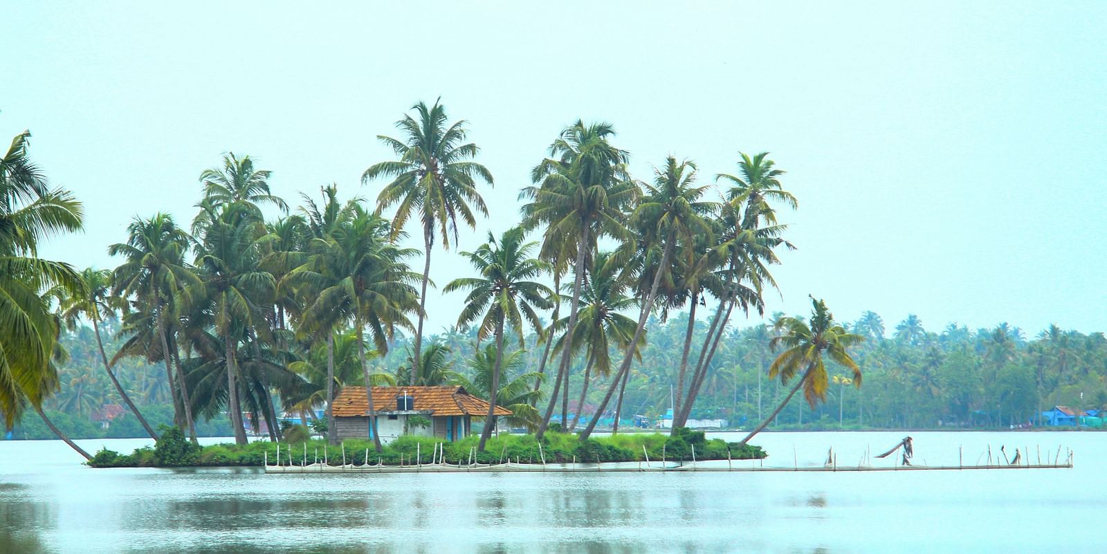 An overview of a small island with palm trees in Vembanad Lake in kumarakom.