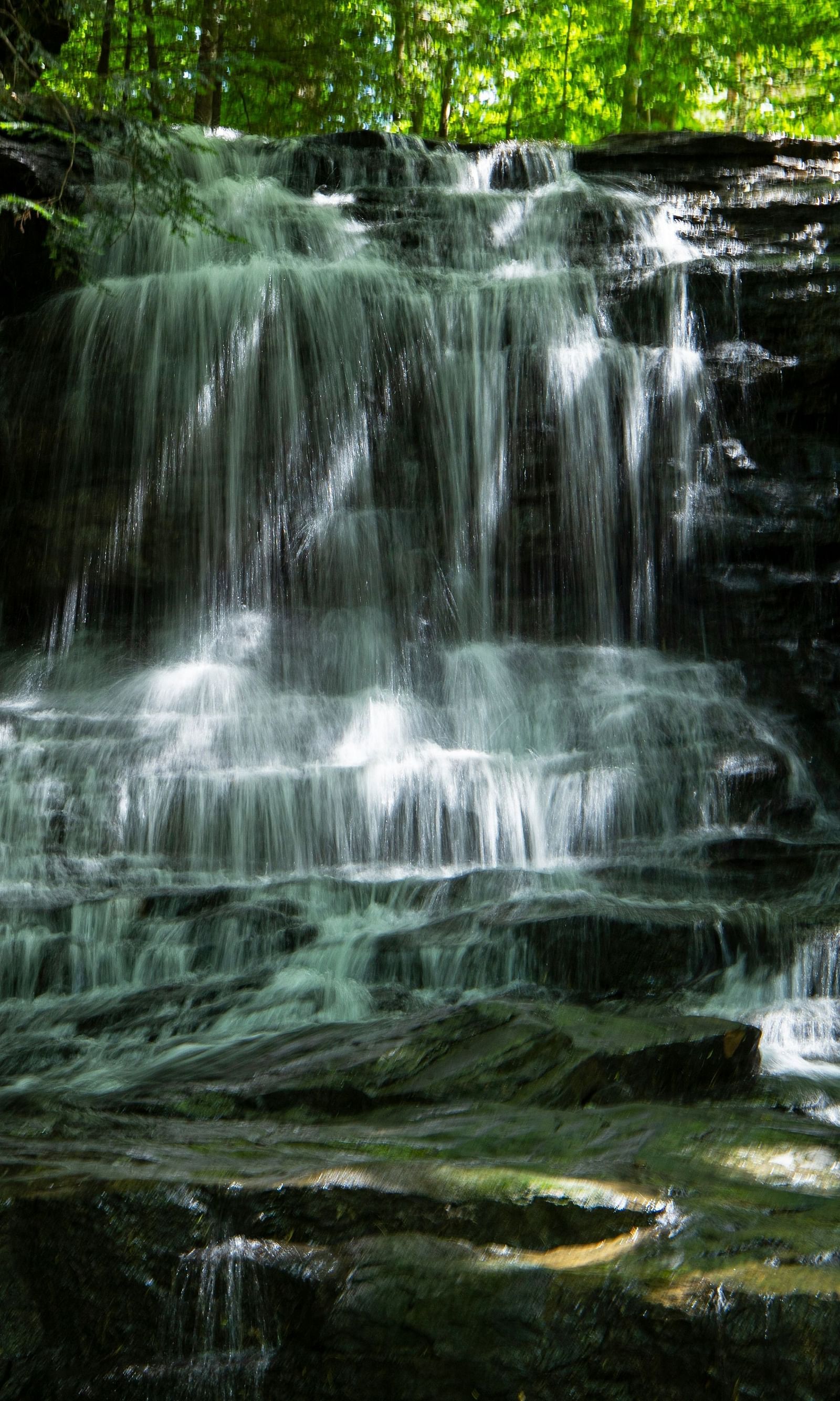 An image of a waterfalls surrounded by lush greenery