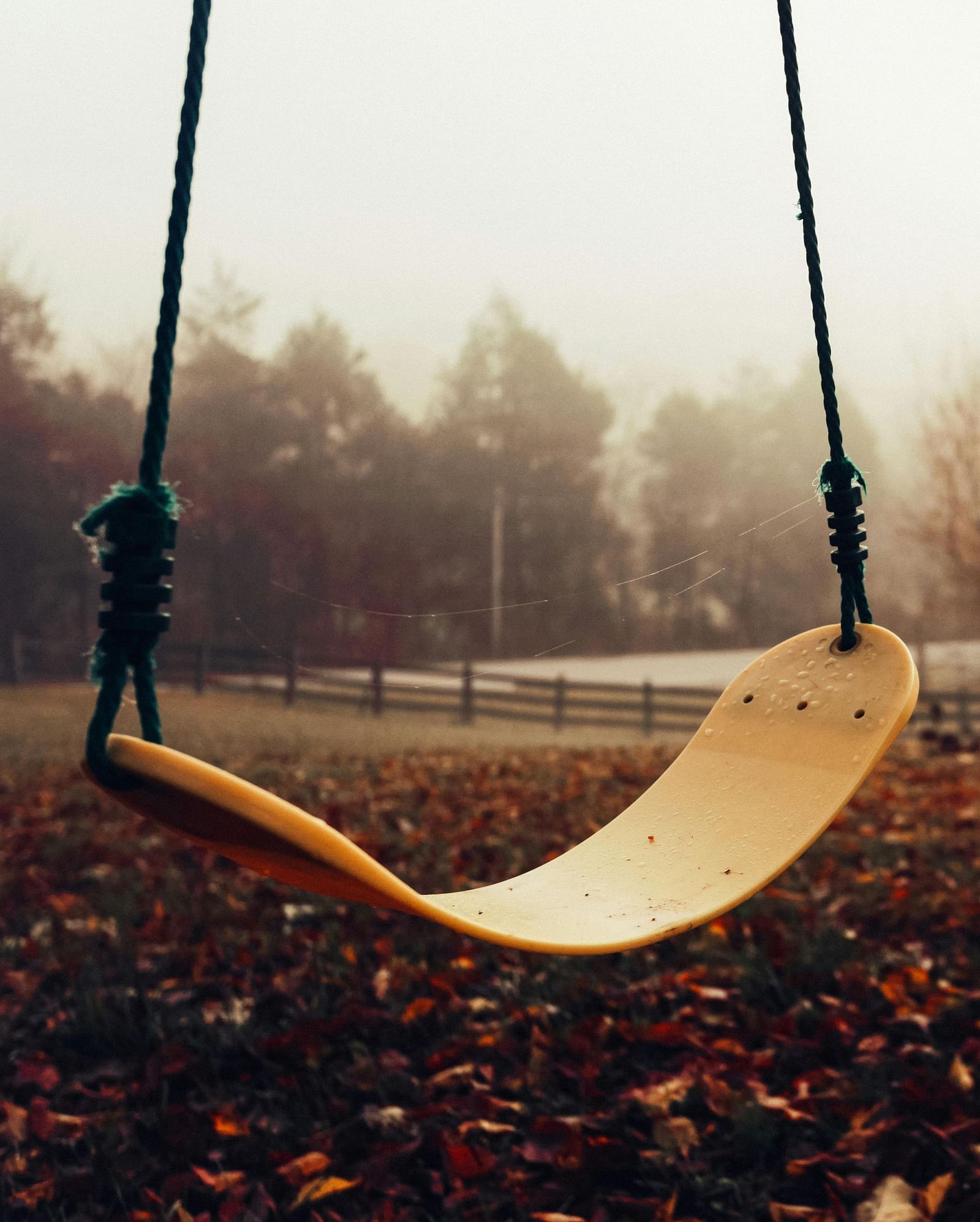 A wooden swing hangs empty against a blurred background of trees and a misty ground.