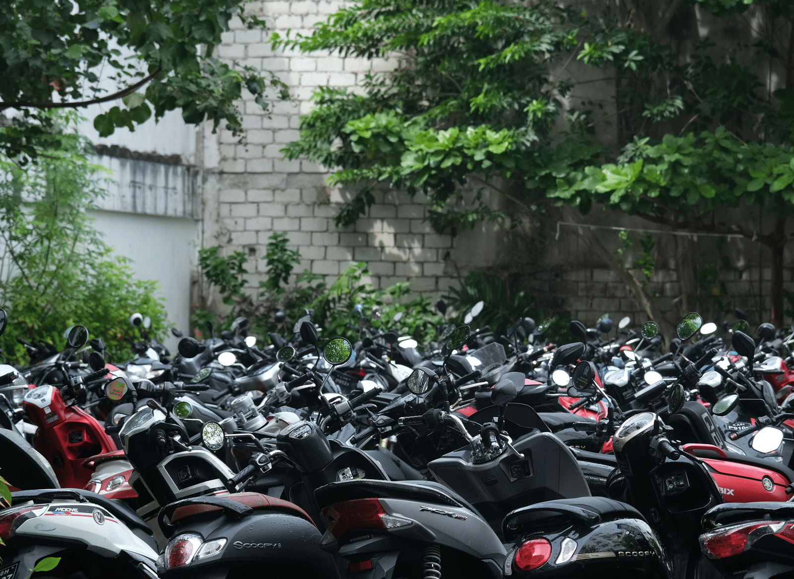 An outdoor parking lot filled with a large number of scooters and motorcycles, with a stone wall, and trees in the background.