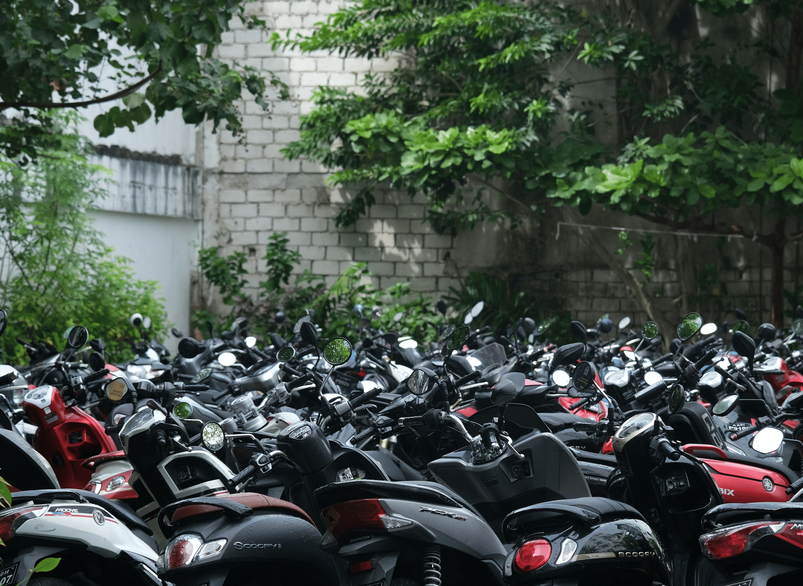An outdoor parking lot filled with a large number of scooters and motorcycles, with a stone wall, and trees in the background.