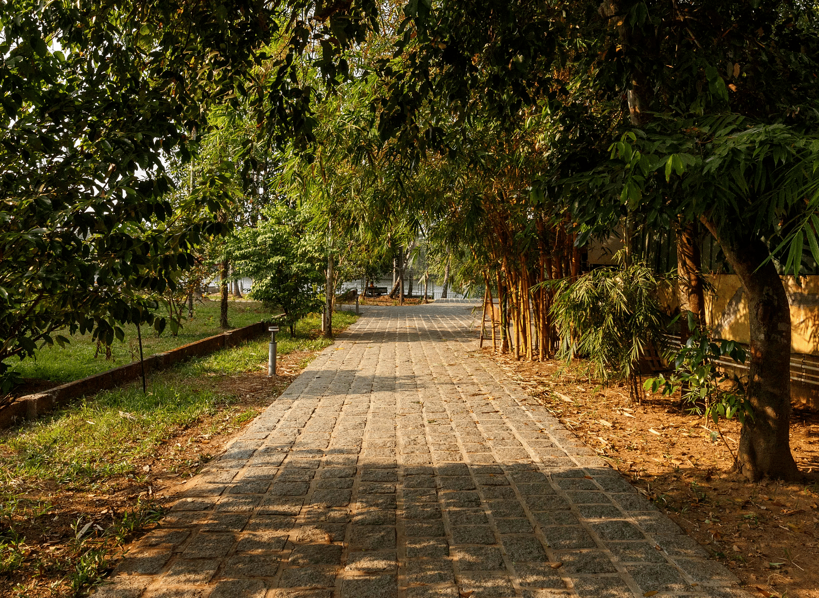 A pathway through a green, tree-lined area with dappled sunlight.