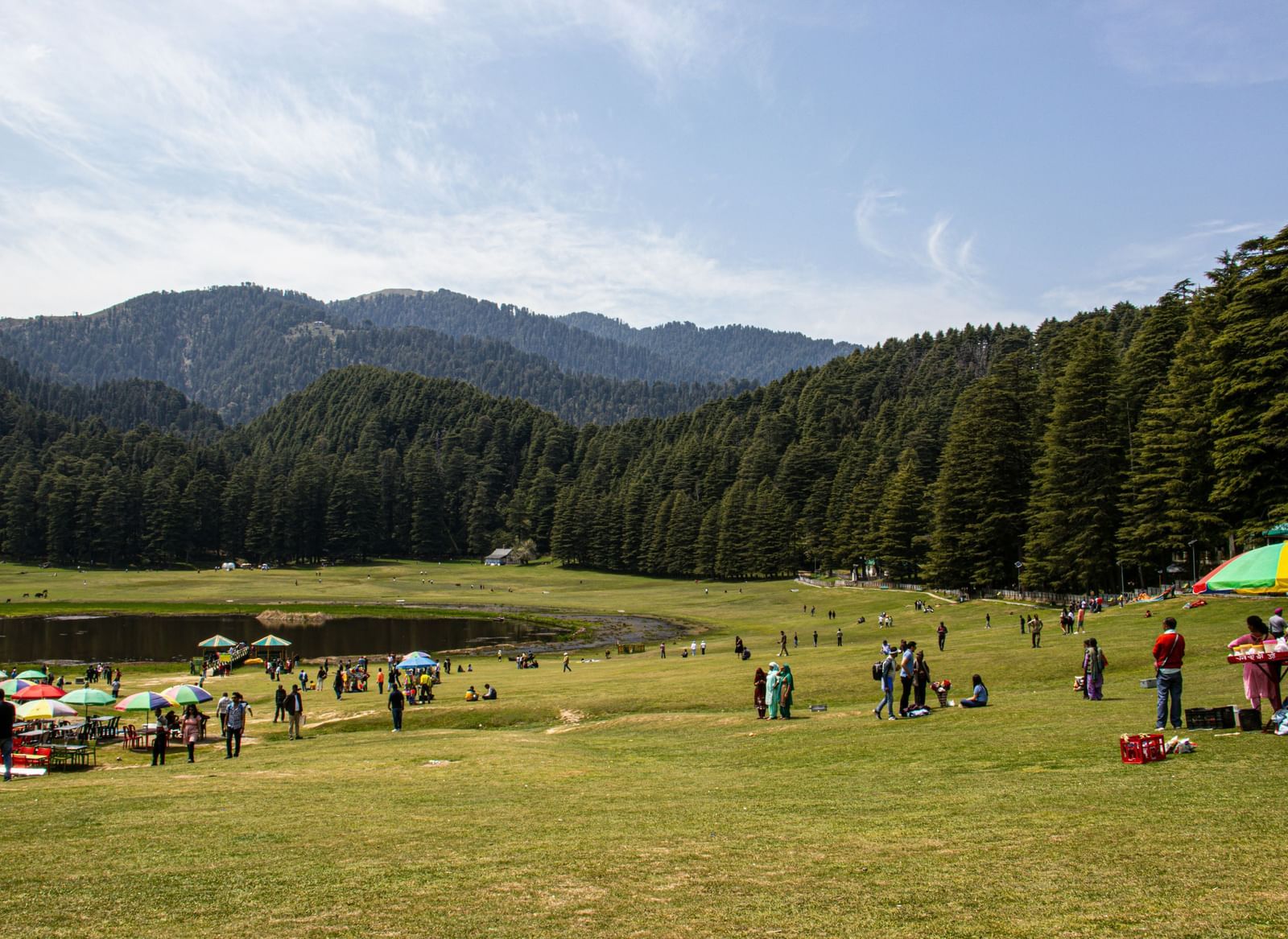 A wide-angle shot of a grassy meadow and a small lake bordered by a dense pine forest. People are gathered in the field on a sunny day.