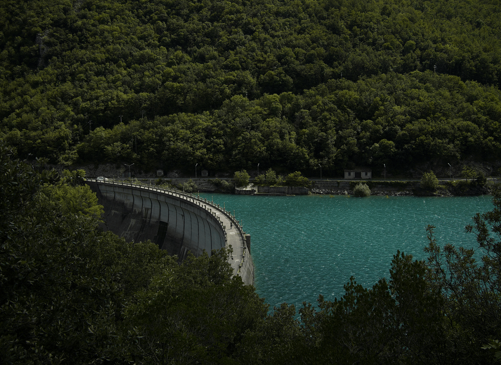 An aerial view of a dam surrounded by trees and plants.