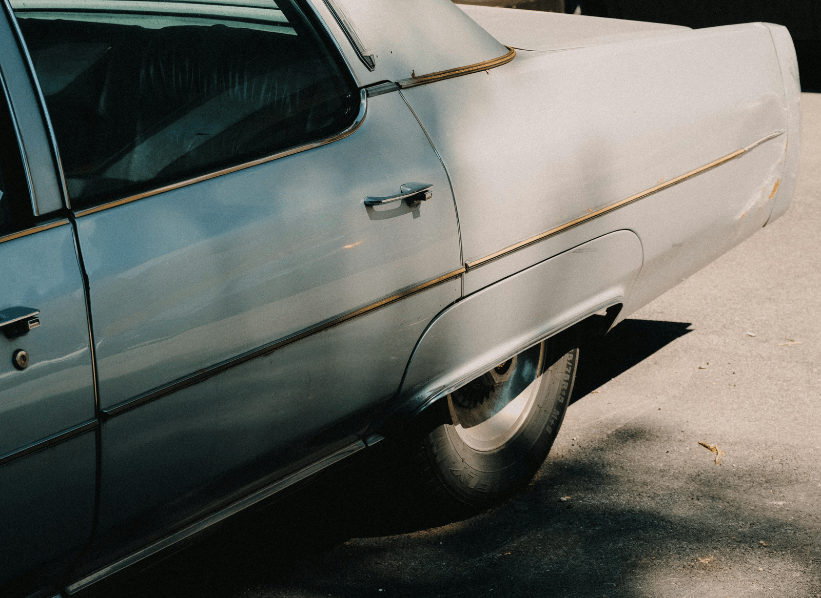 pexels-matreding-12993501