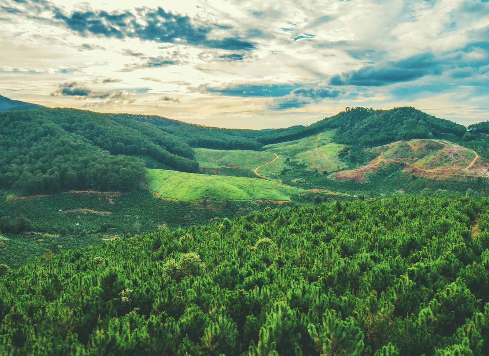 pexels-chuchuphinh-1679551