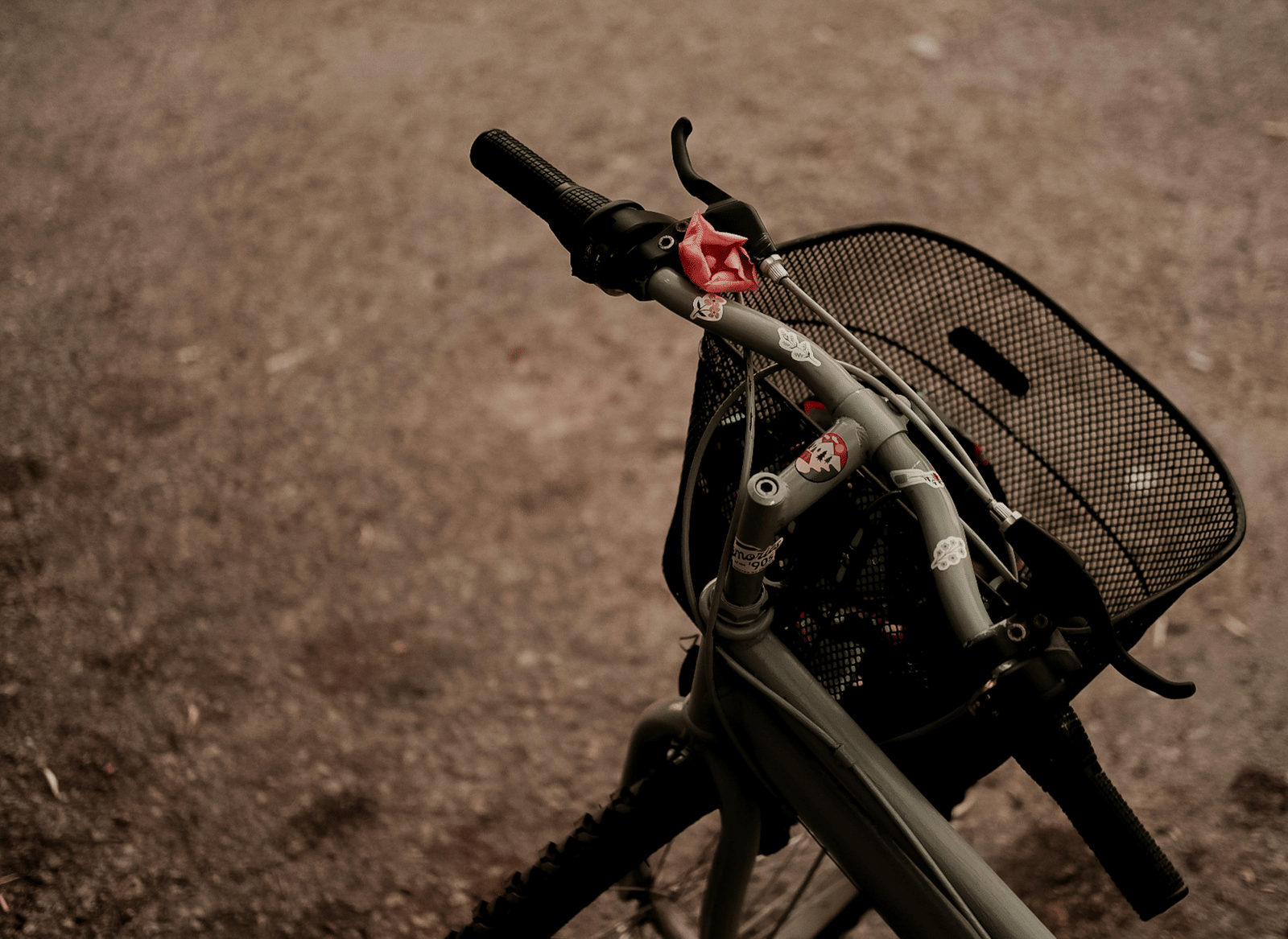 pexels-beyzaa-yurtkuran-279977530-19036128