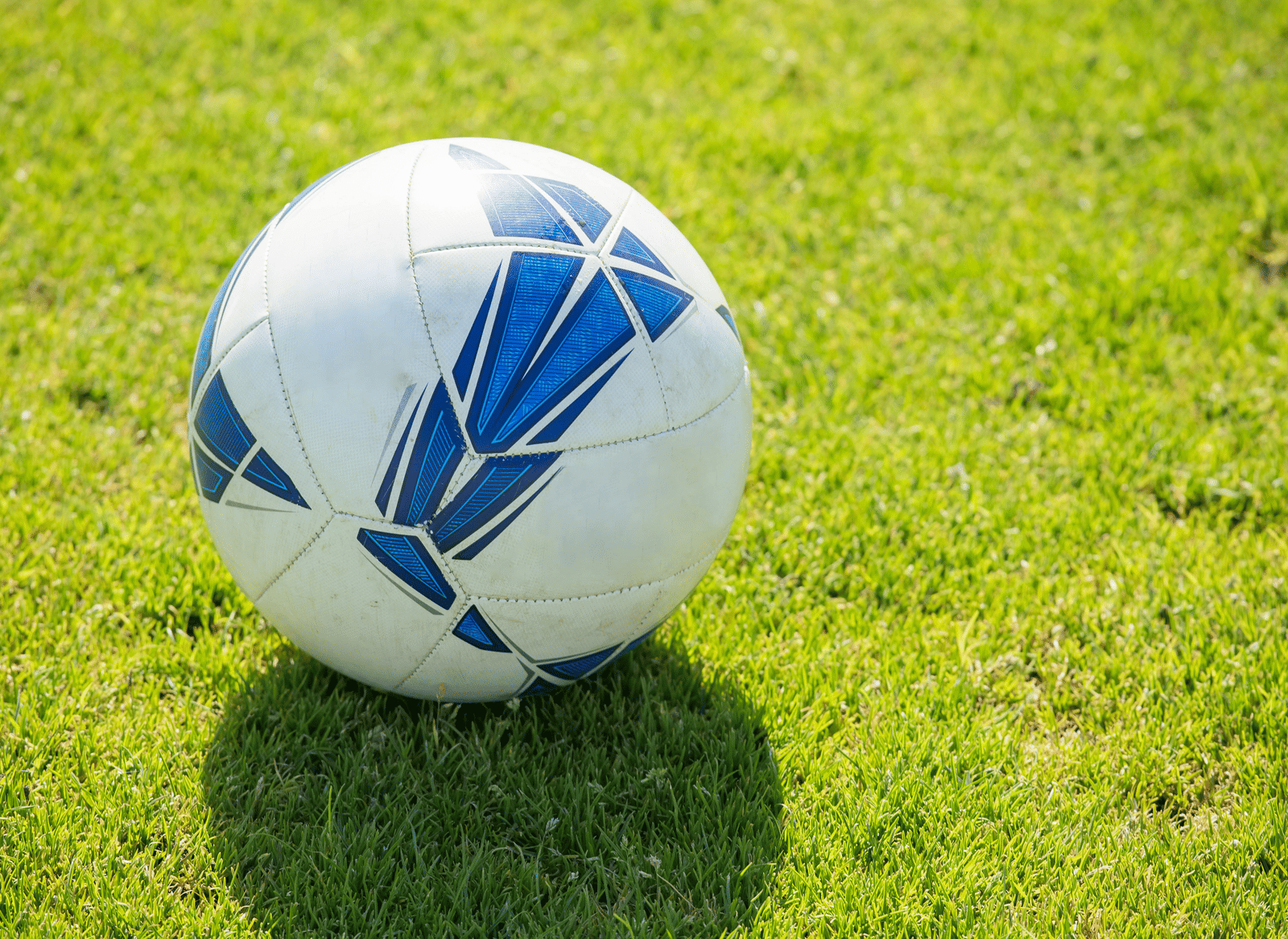 pexels-kampus-8941576