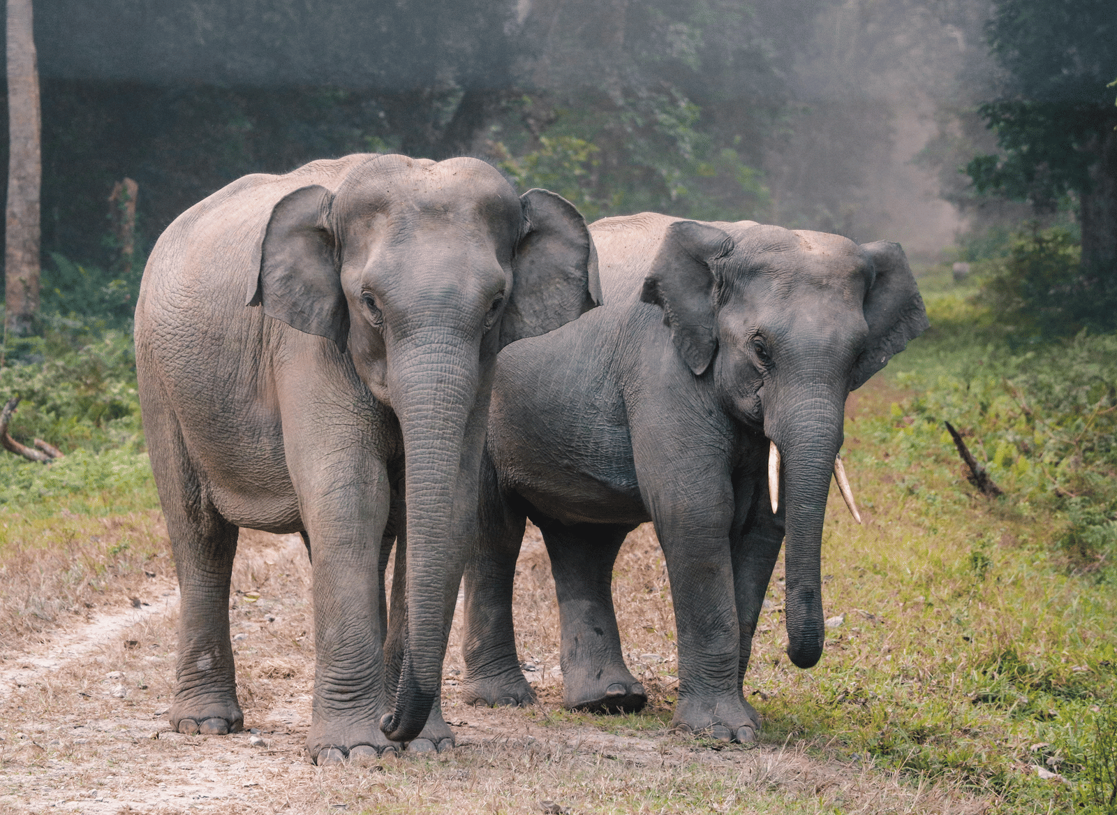 pexels-futurekiiid-3551497