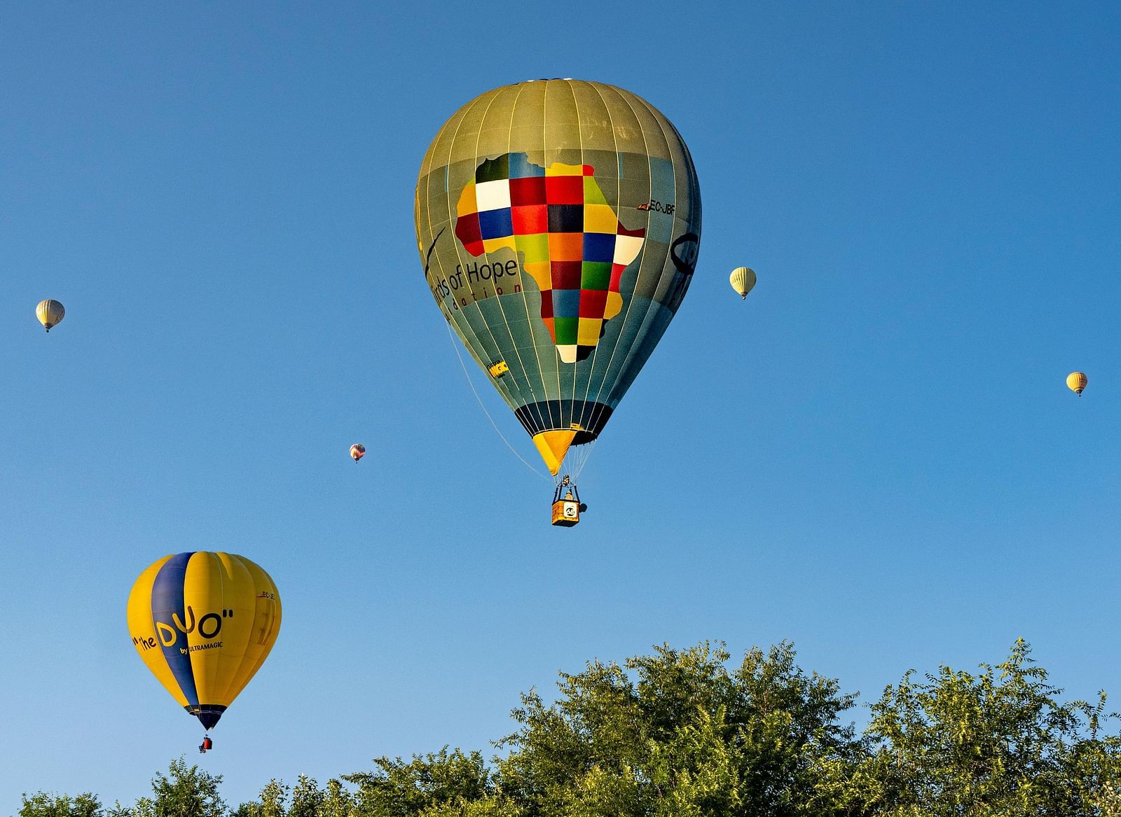 Hot air balloons floating in the sky, with tree leaves appearing at the bottom of the frame.
