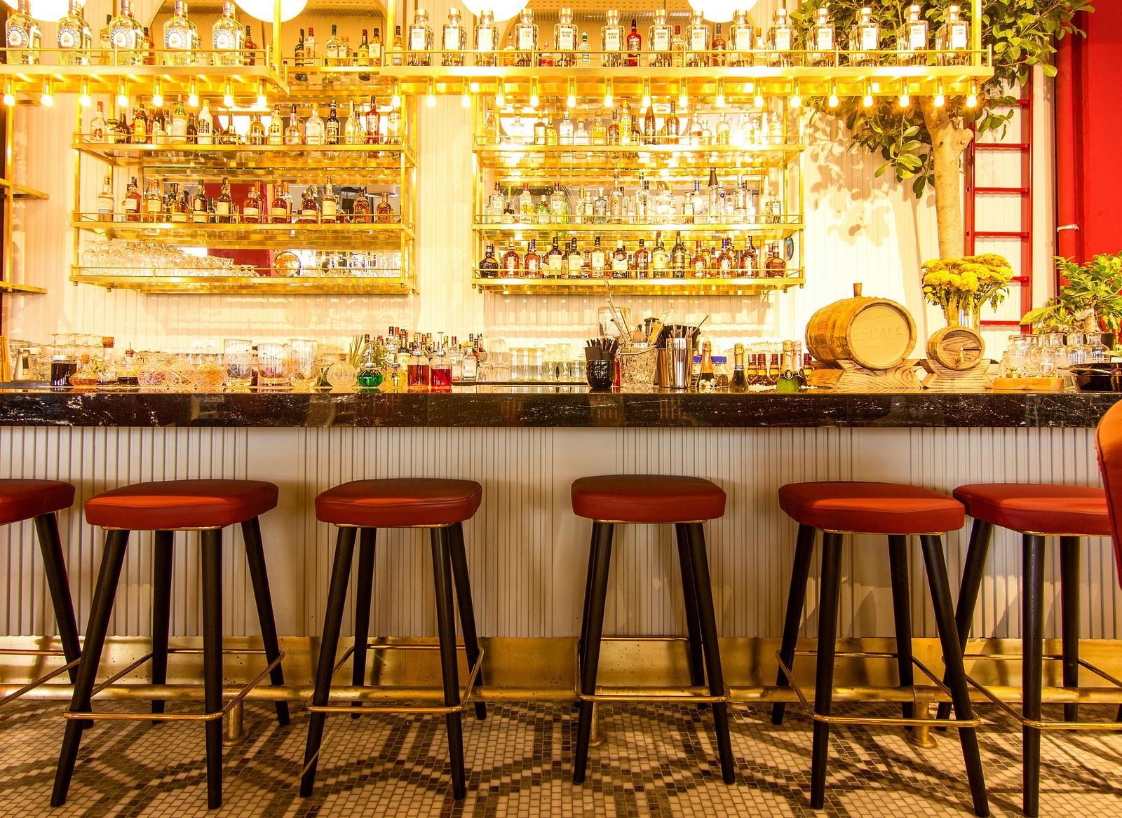 A bar with red stools lined up in front of a well-stocked back bar with bottles and glasses.