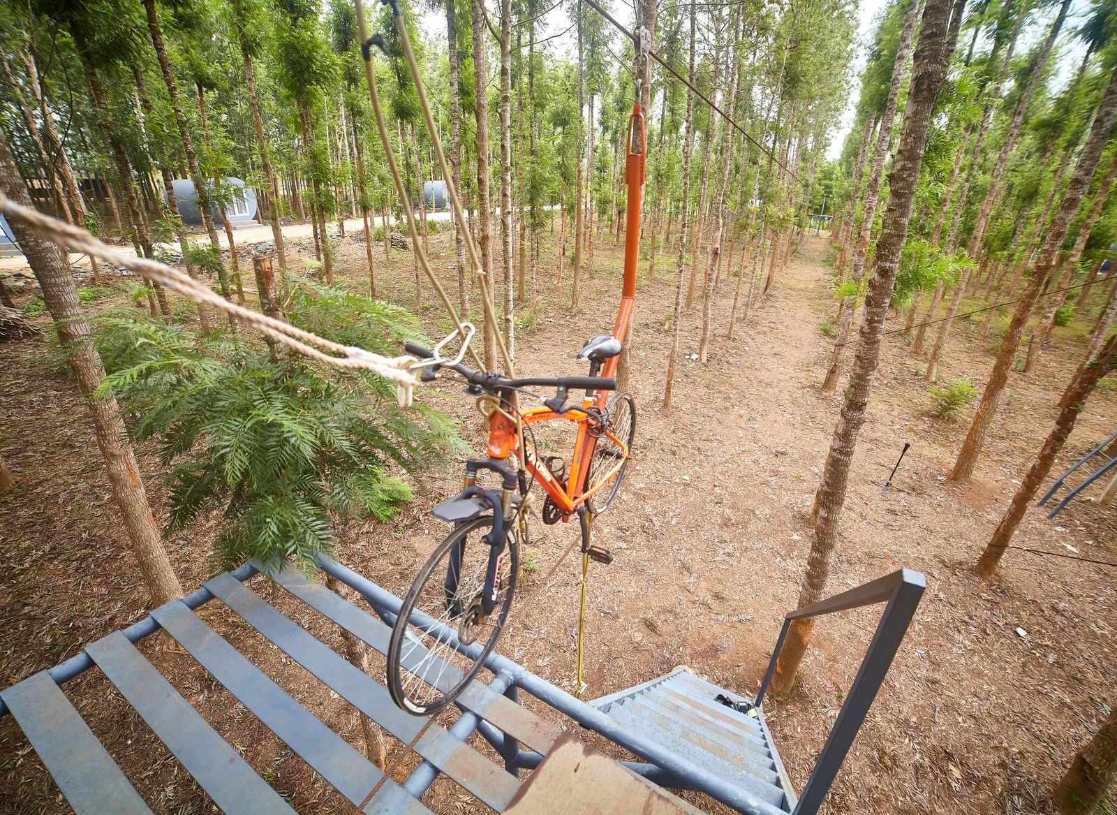 An orange bicycle suspended on a zipline or adventure course, set among tall, slender trees, with a metal platform below. - Vintage Trails by Ilara