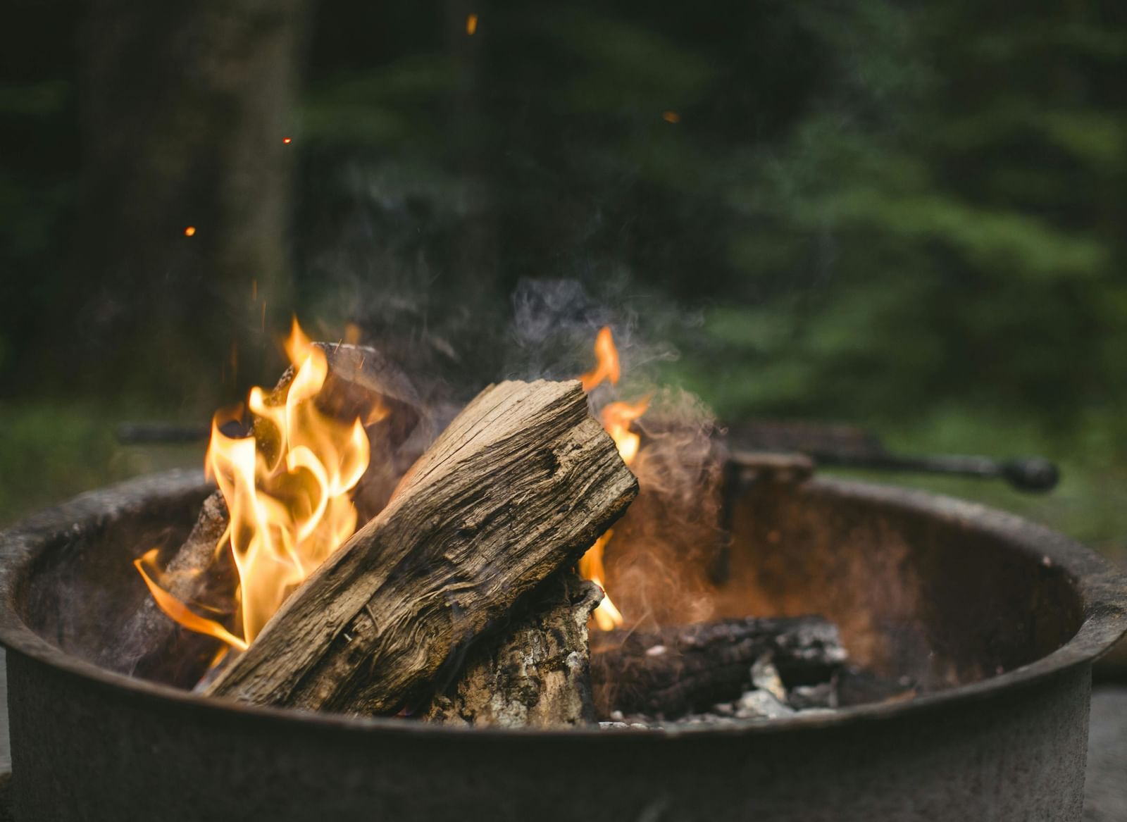A close-up shot of a bonfire with several pieces of wood burning in a vessel with a lush green forest in the background.