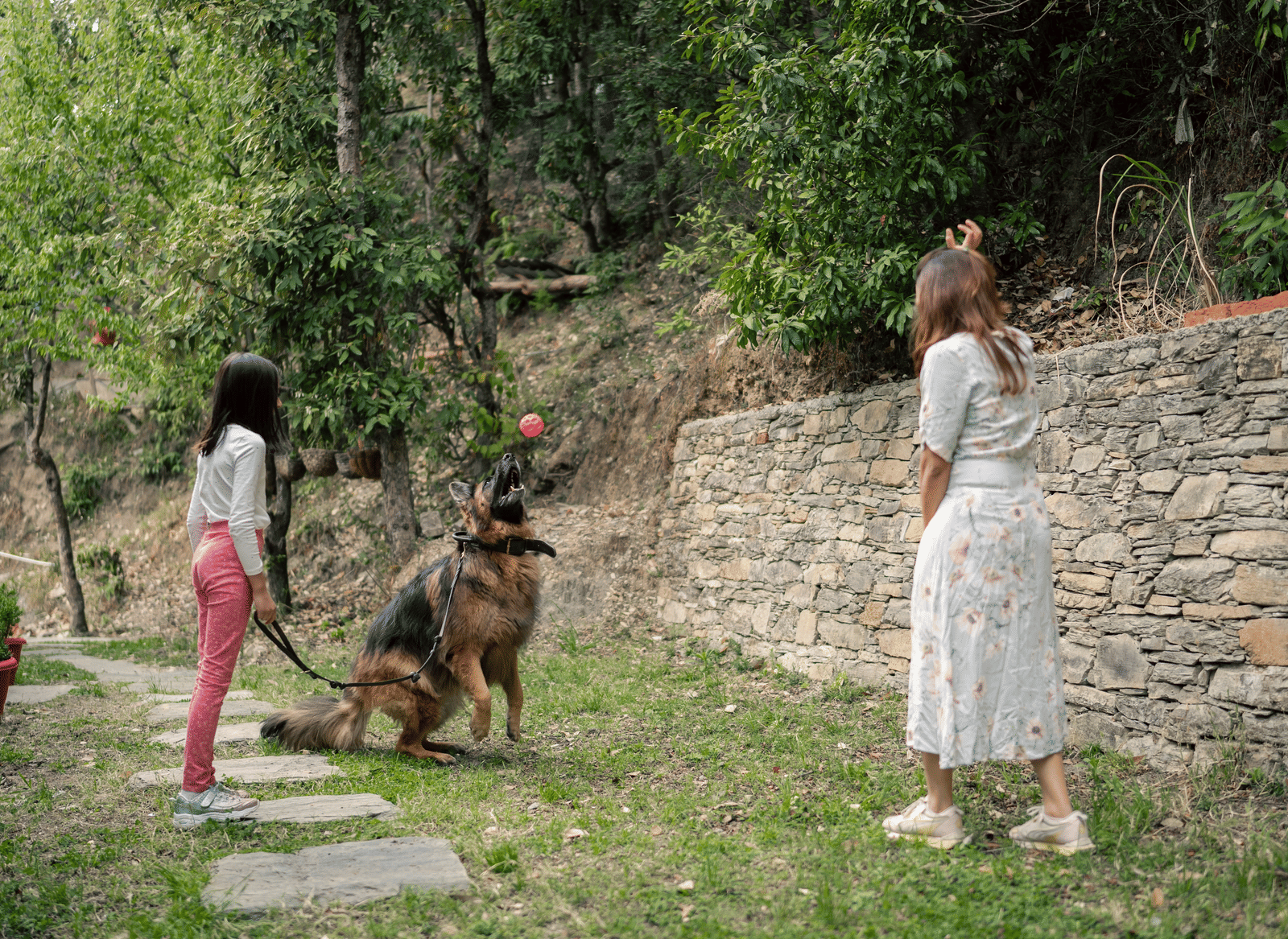 Two people playing with a dog in a grassy area at Ziran Retreat.