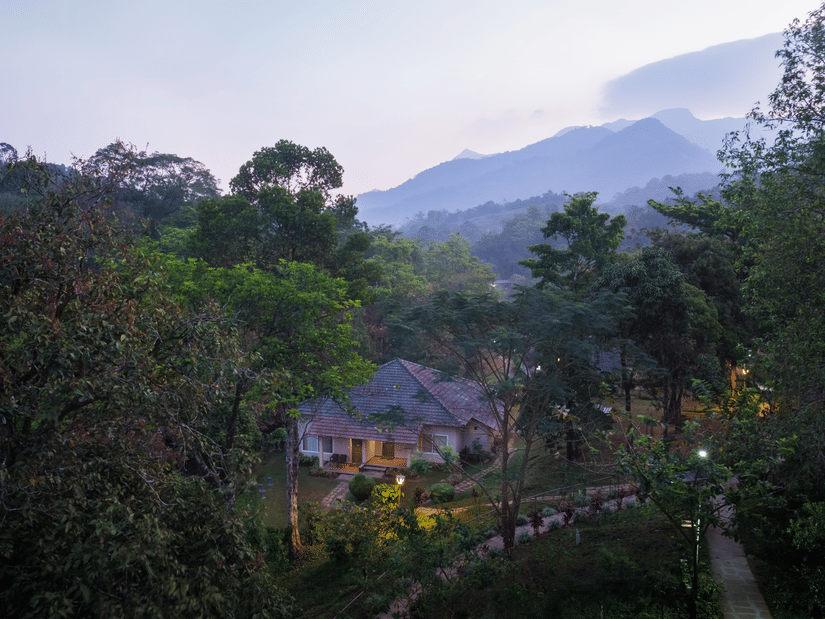 An aerial shot featuring trees and a glimpse of a building amidst the natural landscape - Abad Brookside Lakkidi, Wayanad