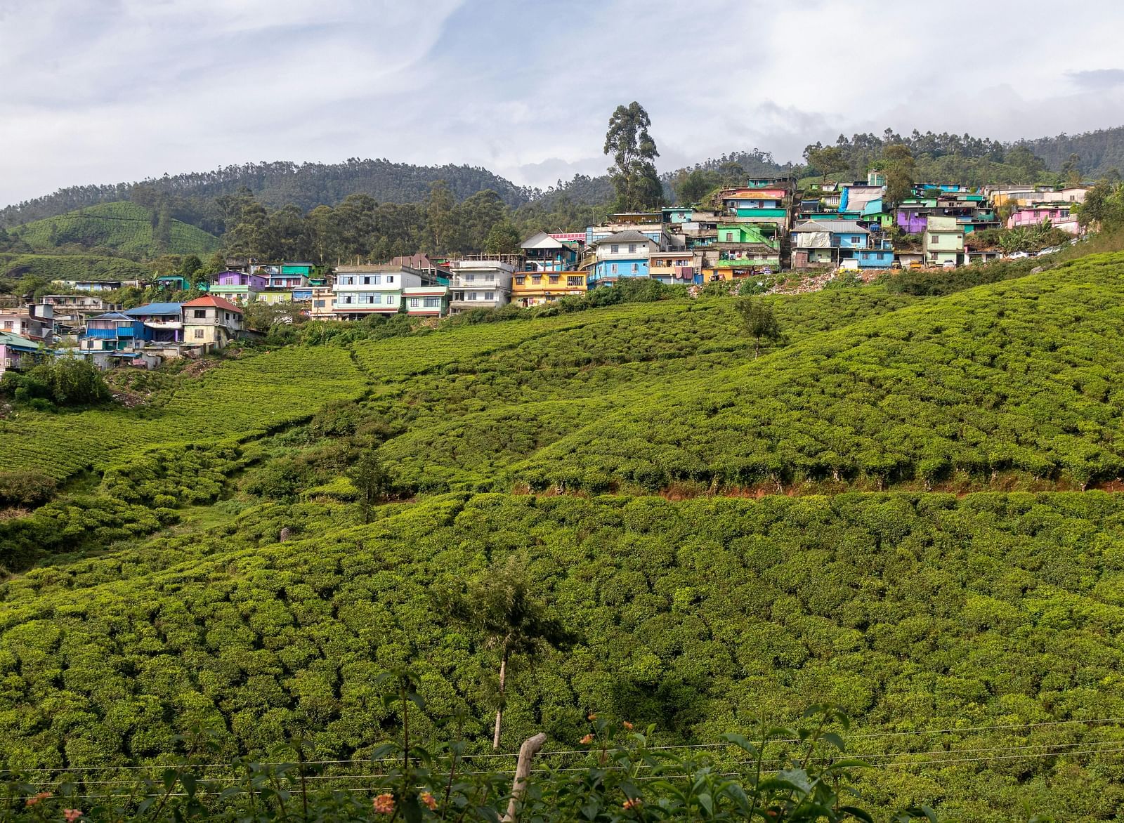 An image of a farming land and a residential area on  a hill