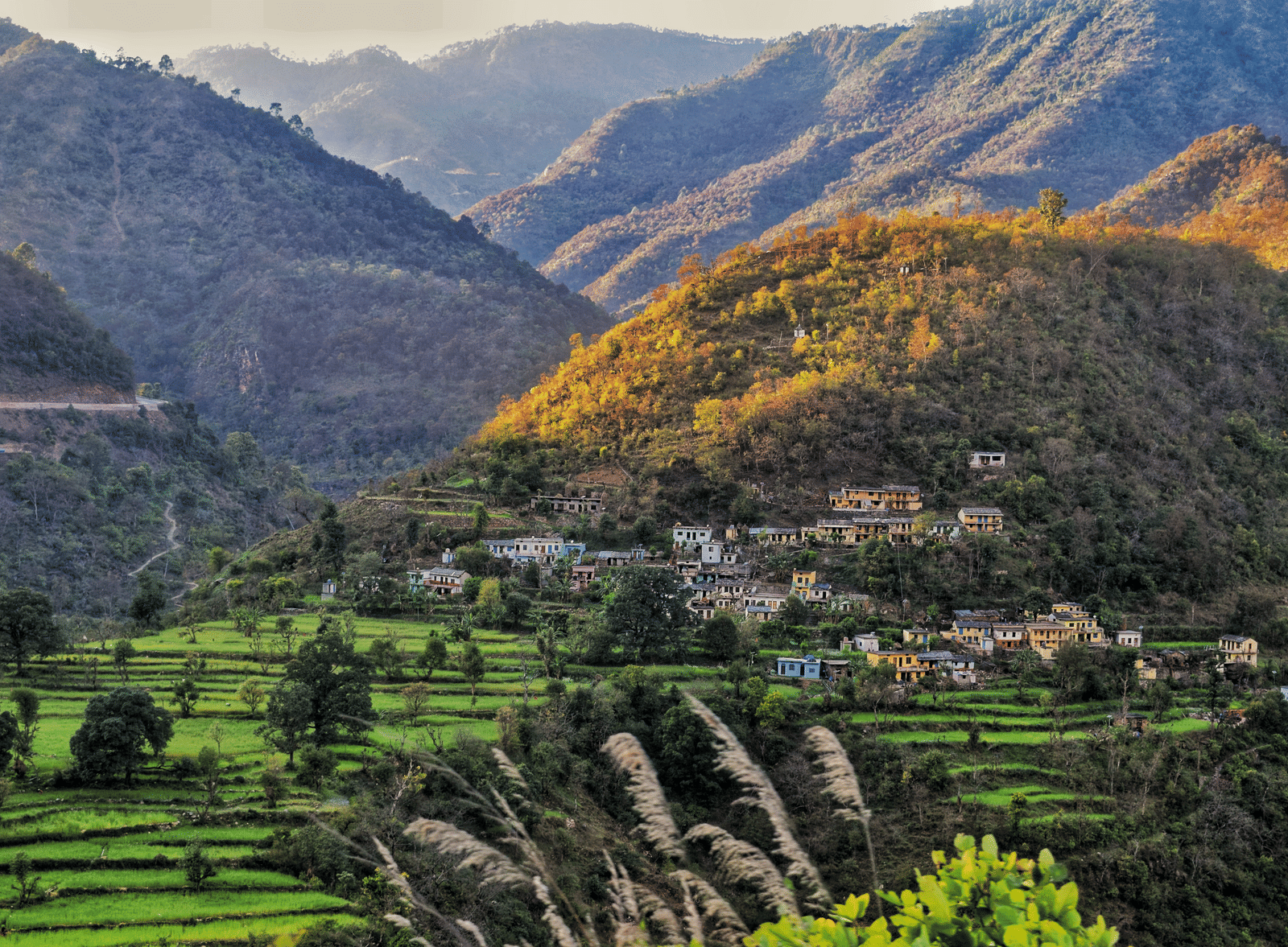 aniket-mandish-oy-l9Y8UlDA-unsplash