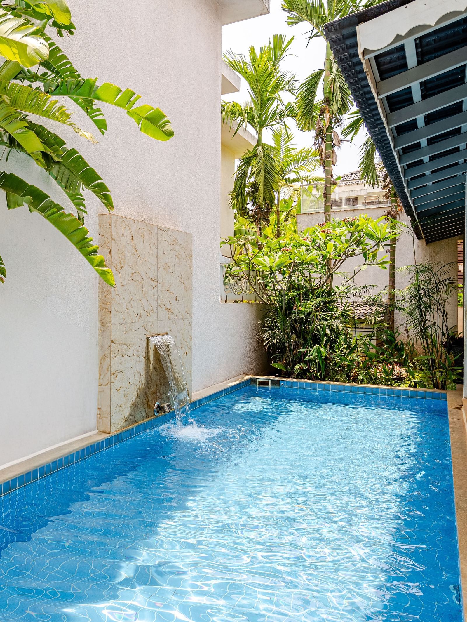 Narrow private swimming pool at Lindsay Manor bordered by white walls and tropical plants under natural daylight.