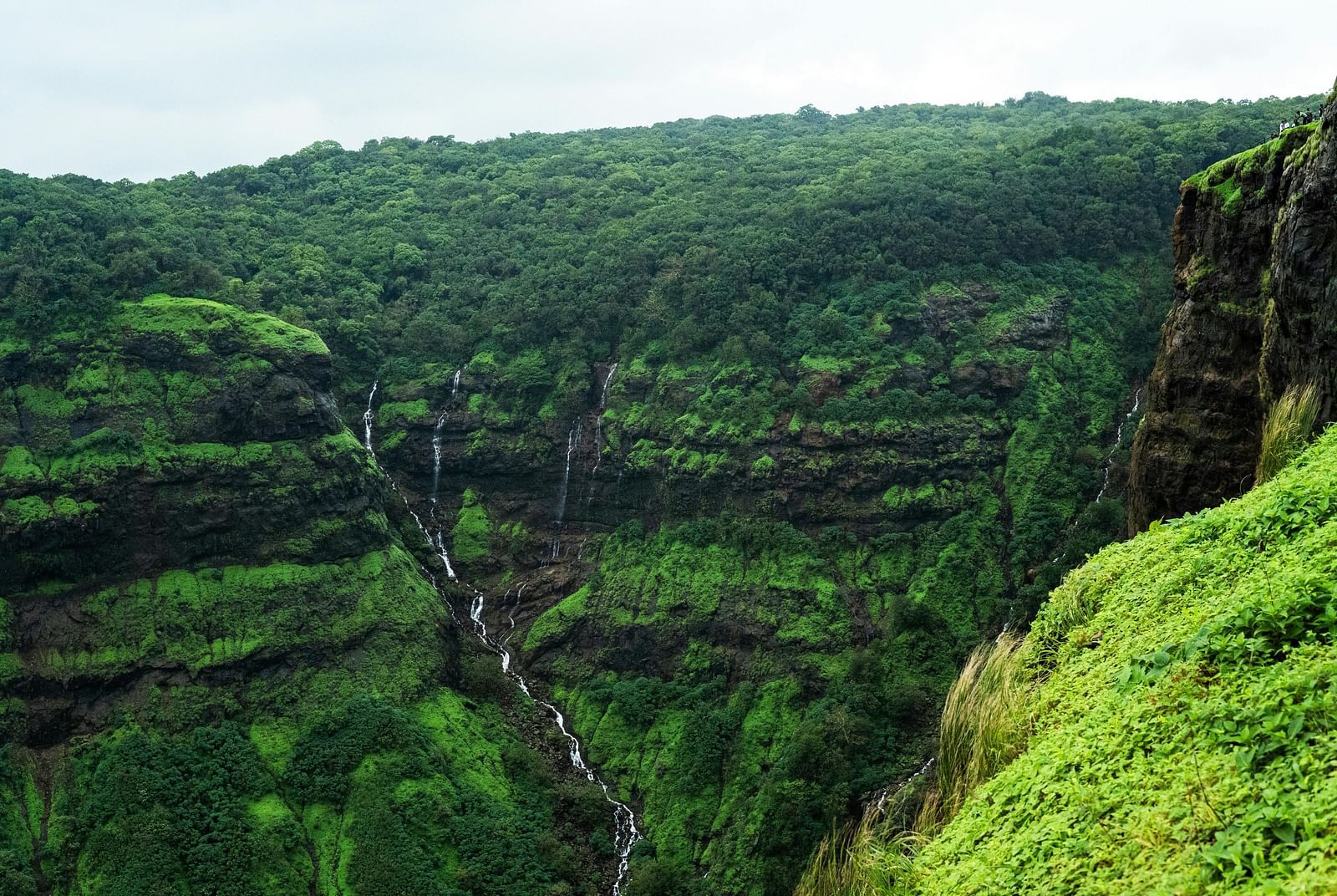 A lush, green landscape at Echo Point in Matheran, featuring hills and valleys covered in dense vegetation.