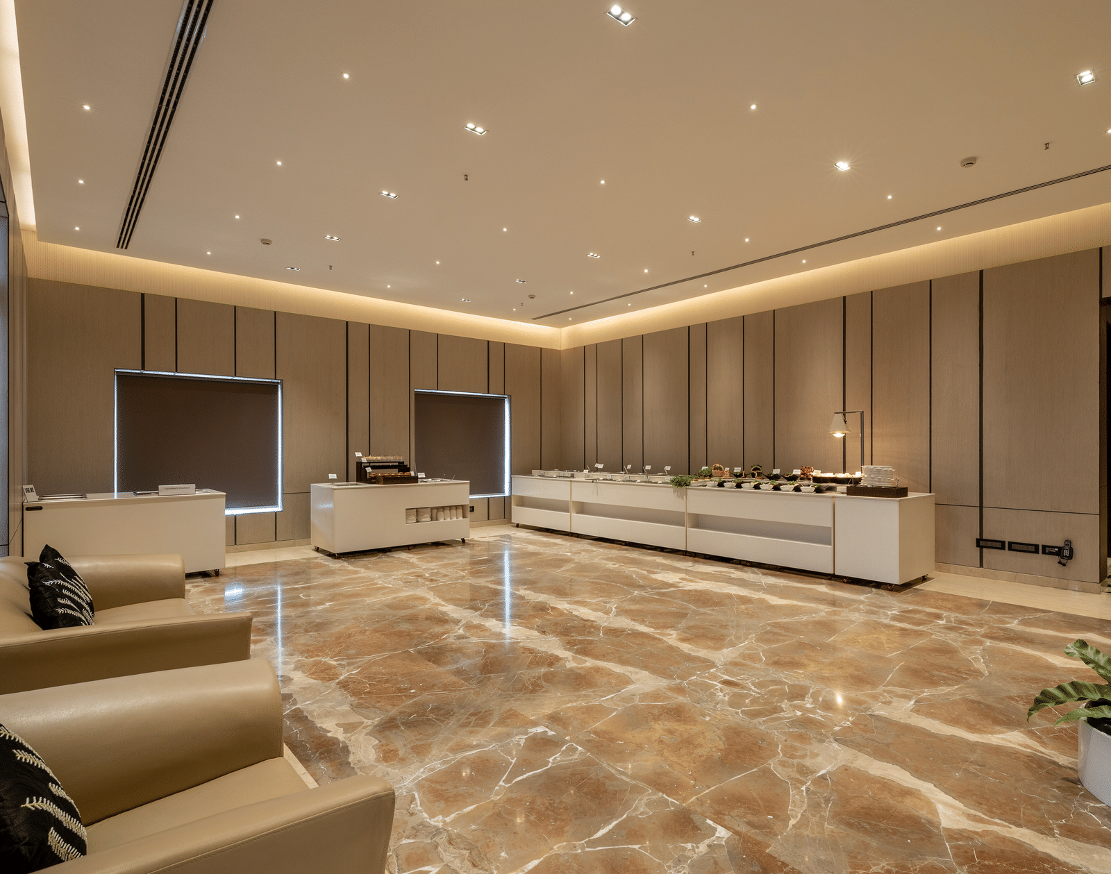 Nexus pre conference Area 01 copy