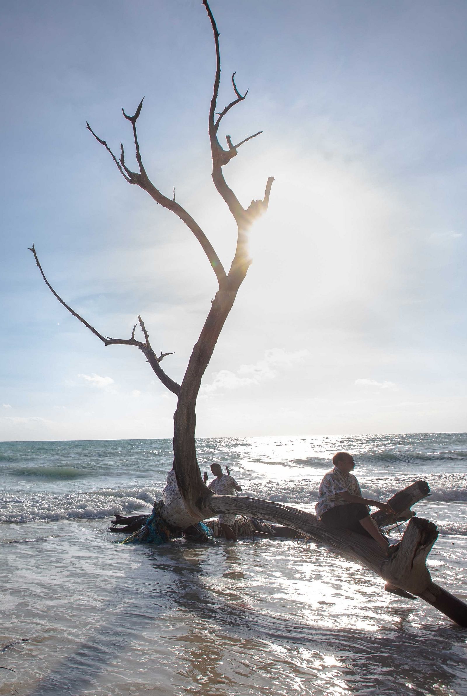  A picturesque scene of a lone tree along the coastline, with a person sitting by the water. The setting captures the beauty of nature with a calm, reflective mood - Coral Reef Resort & Spa, Havelock