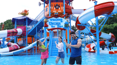 Family Playstation..